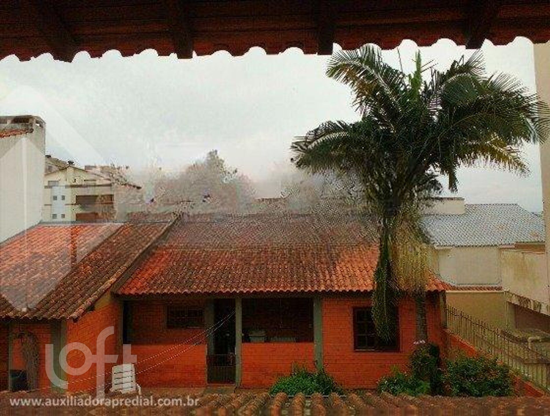 Imagem da propriedade 6