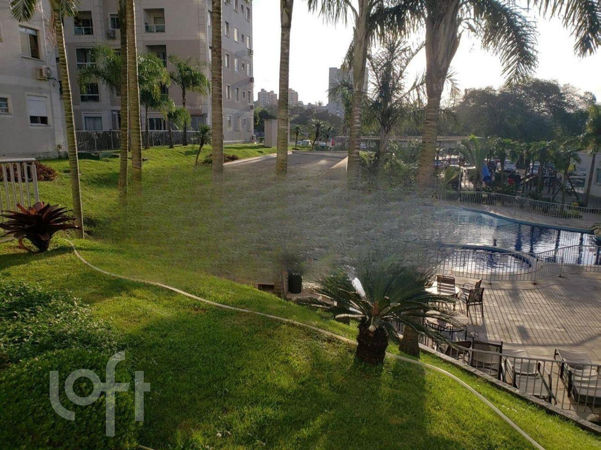 Imagem da propriedade 21