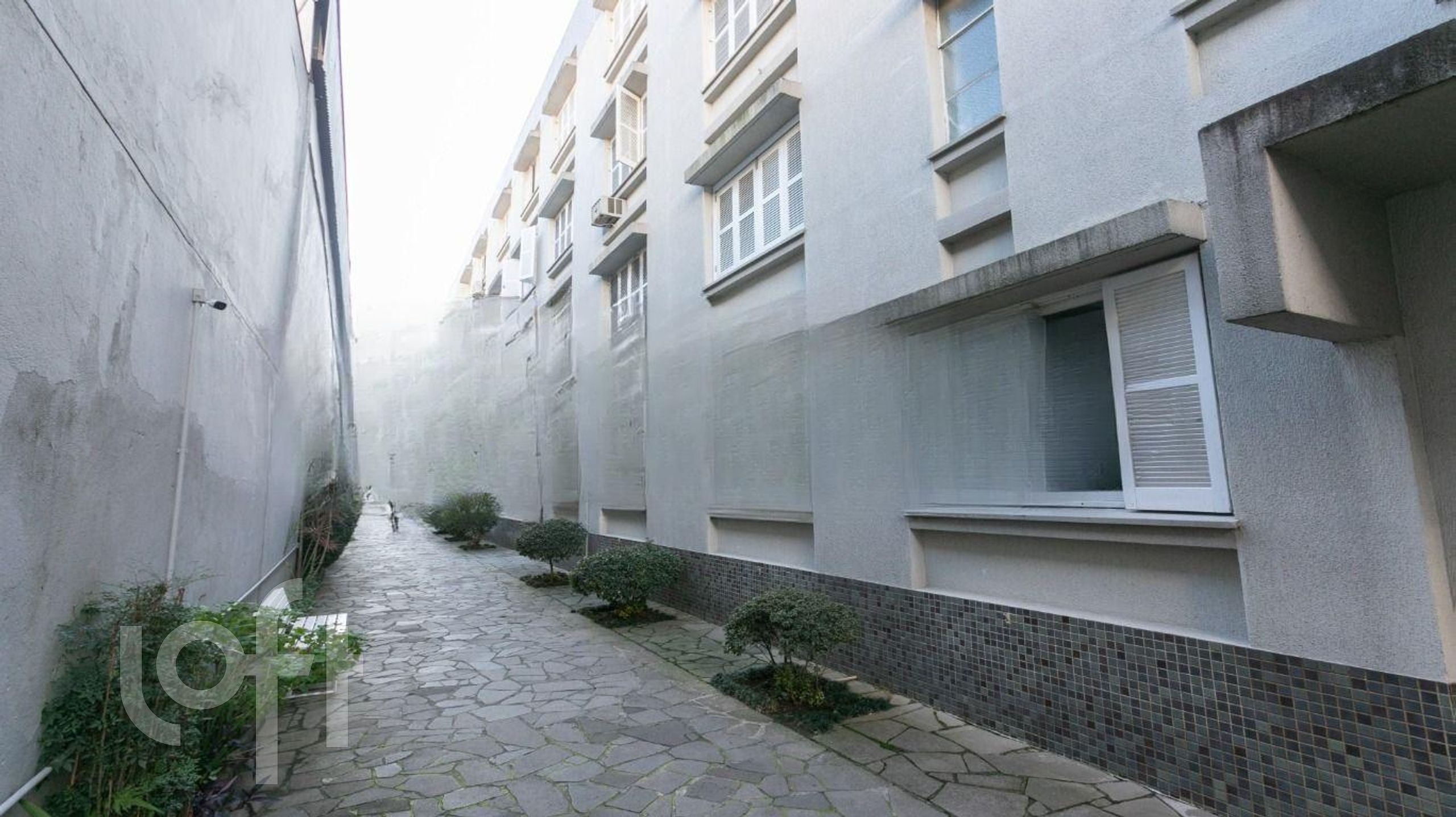 Imagem da propriedade 6