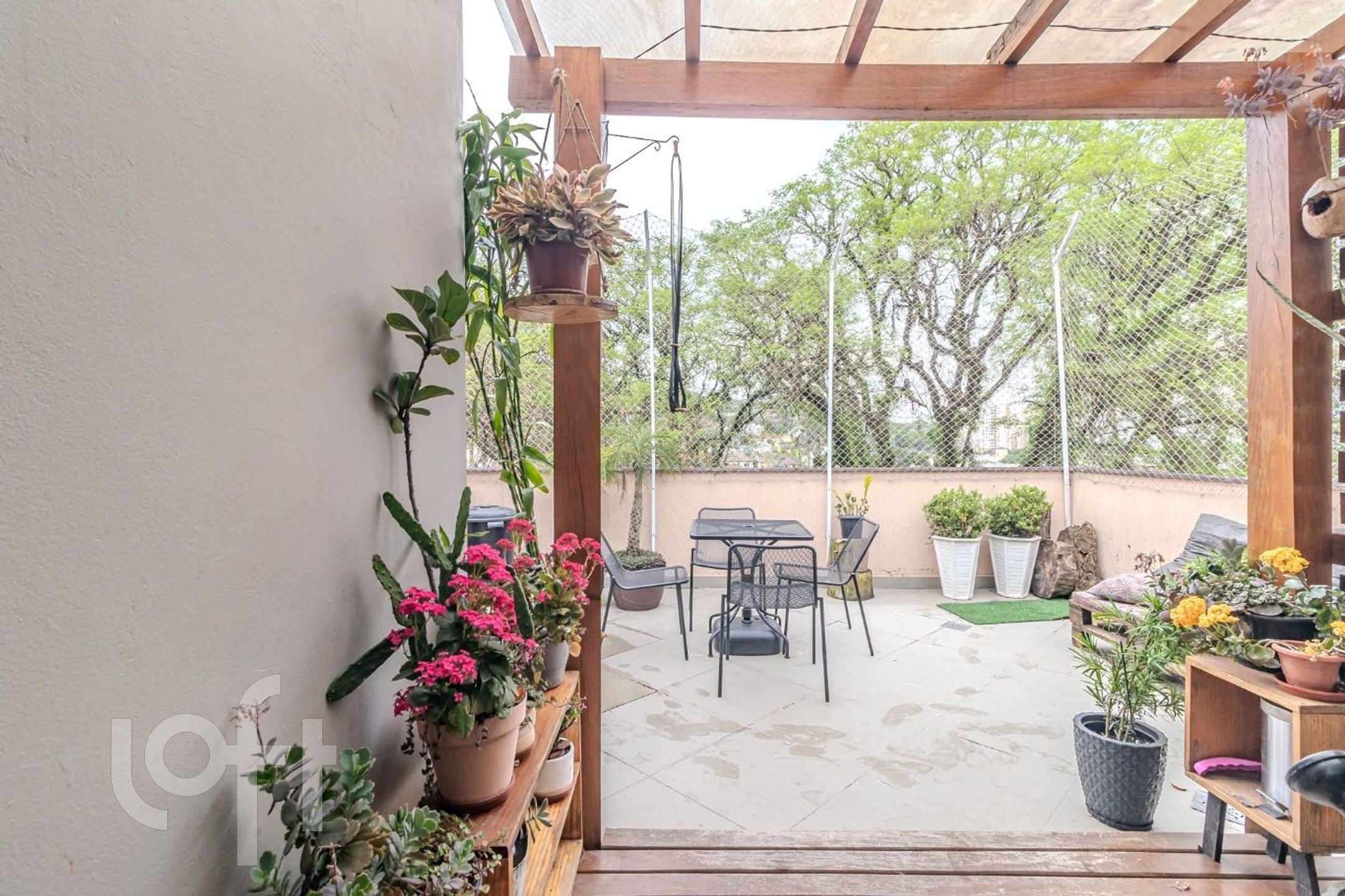 Imagem da propriedade 36