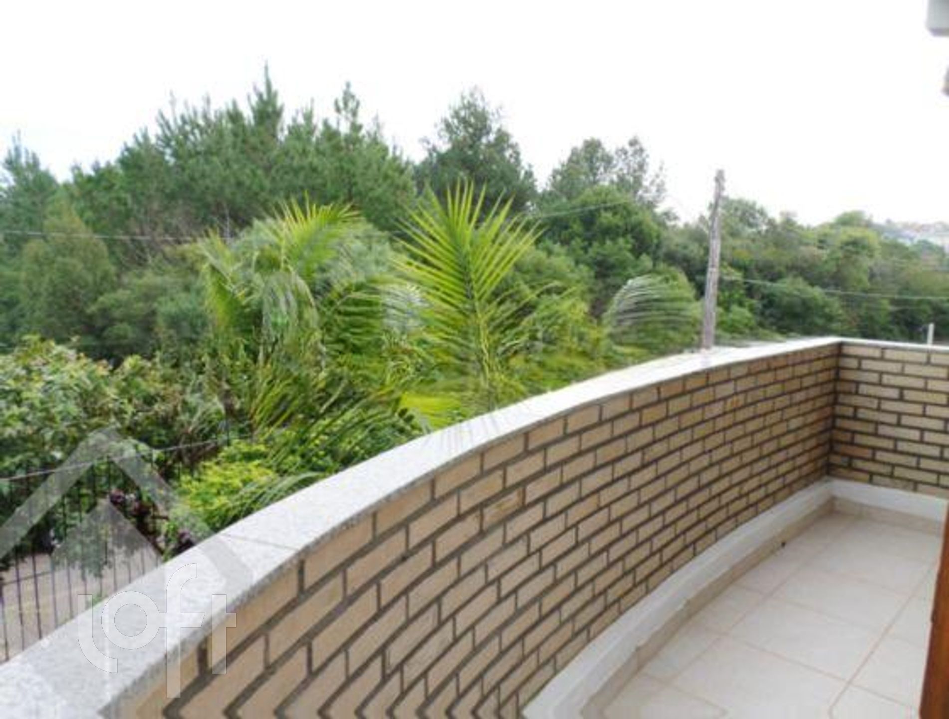 Imagem da propriedade 16