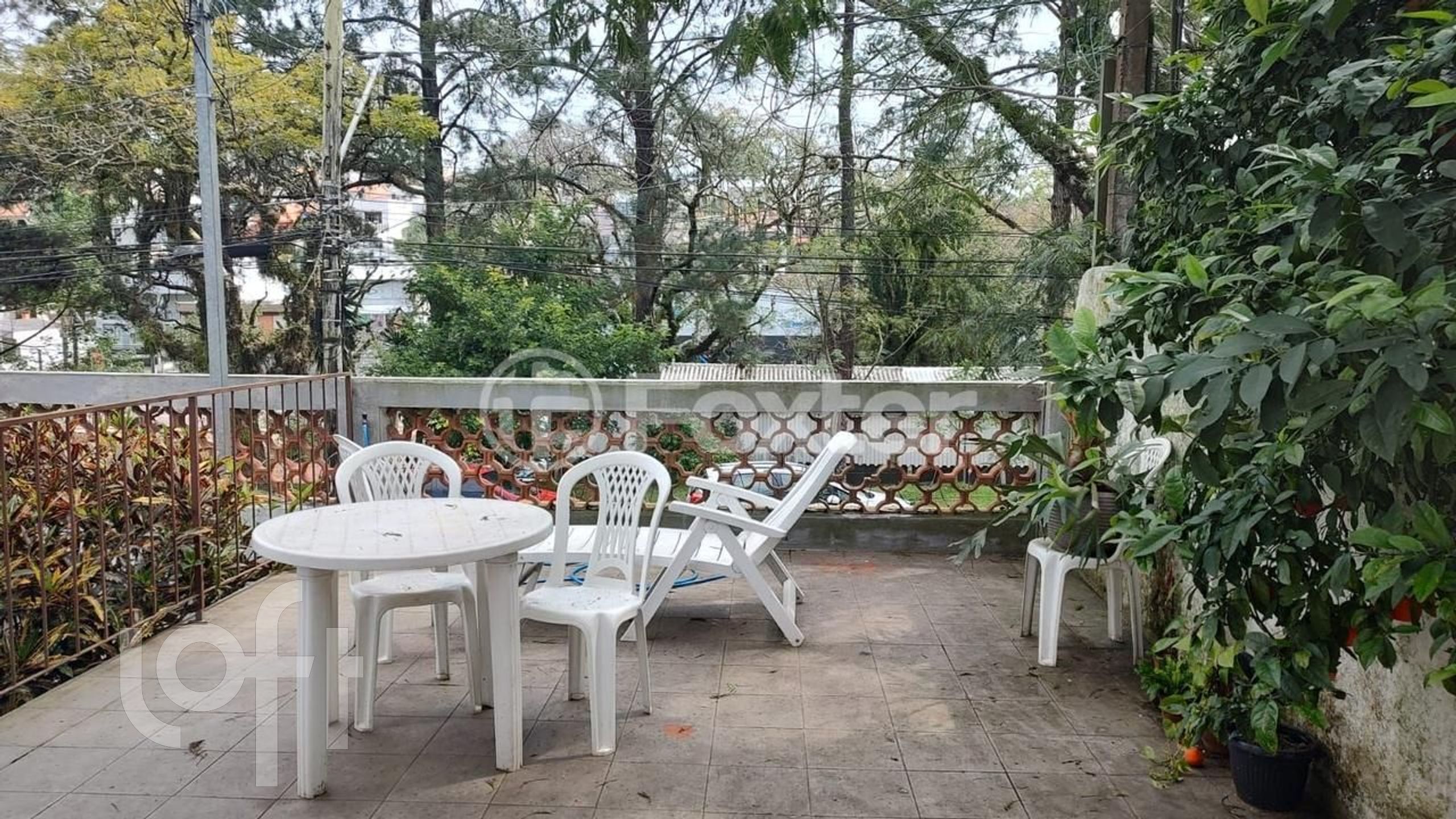 Imagem da propriedade 3