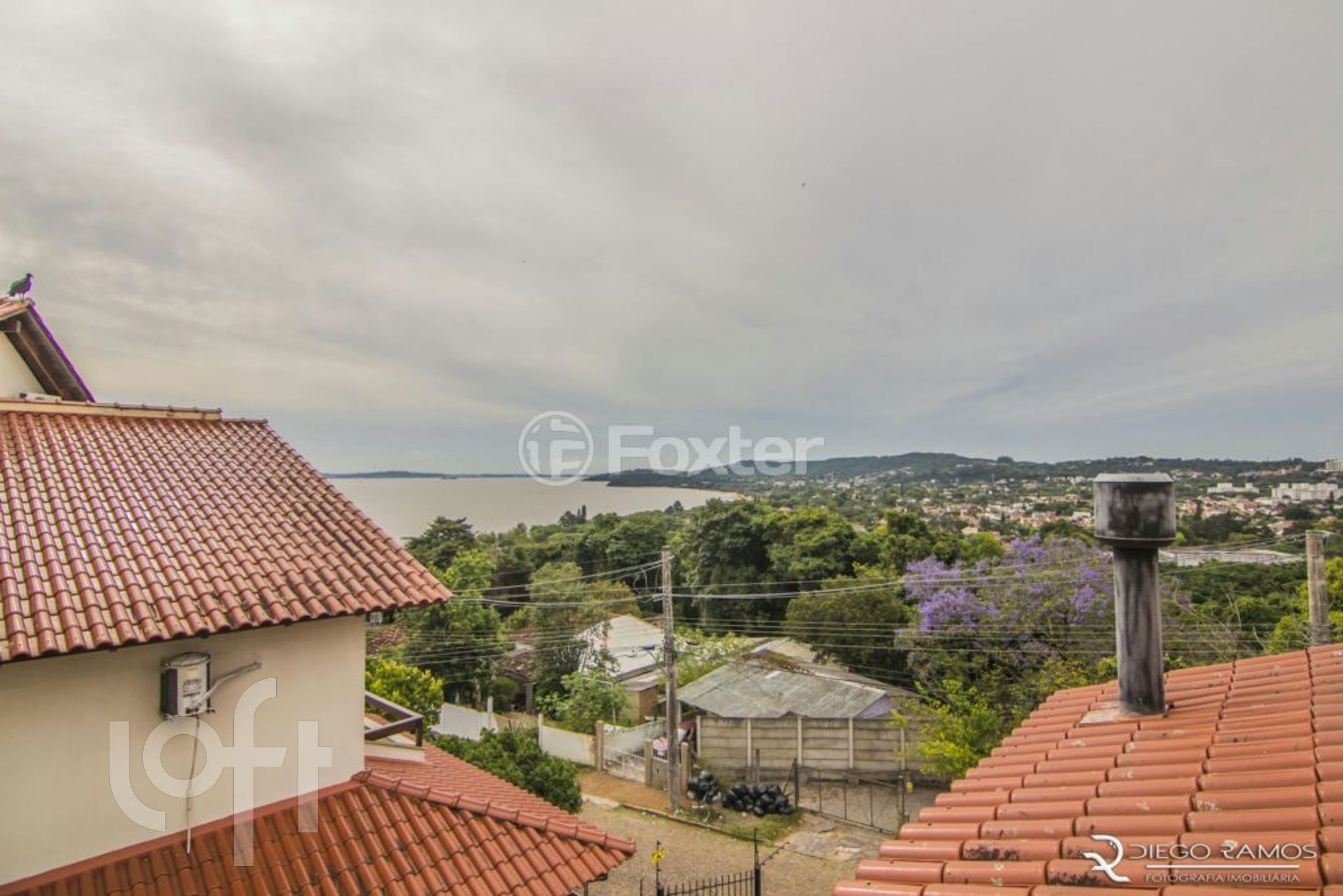 Imagem da propriedade 19