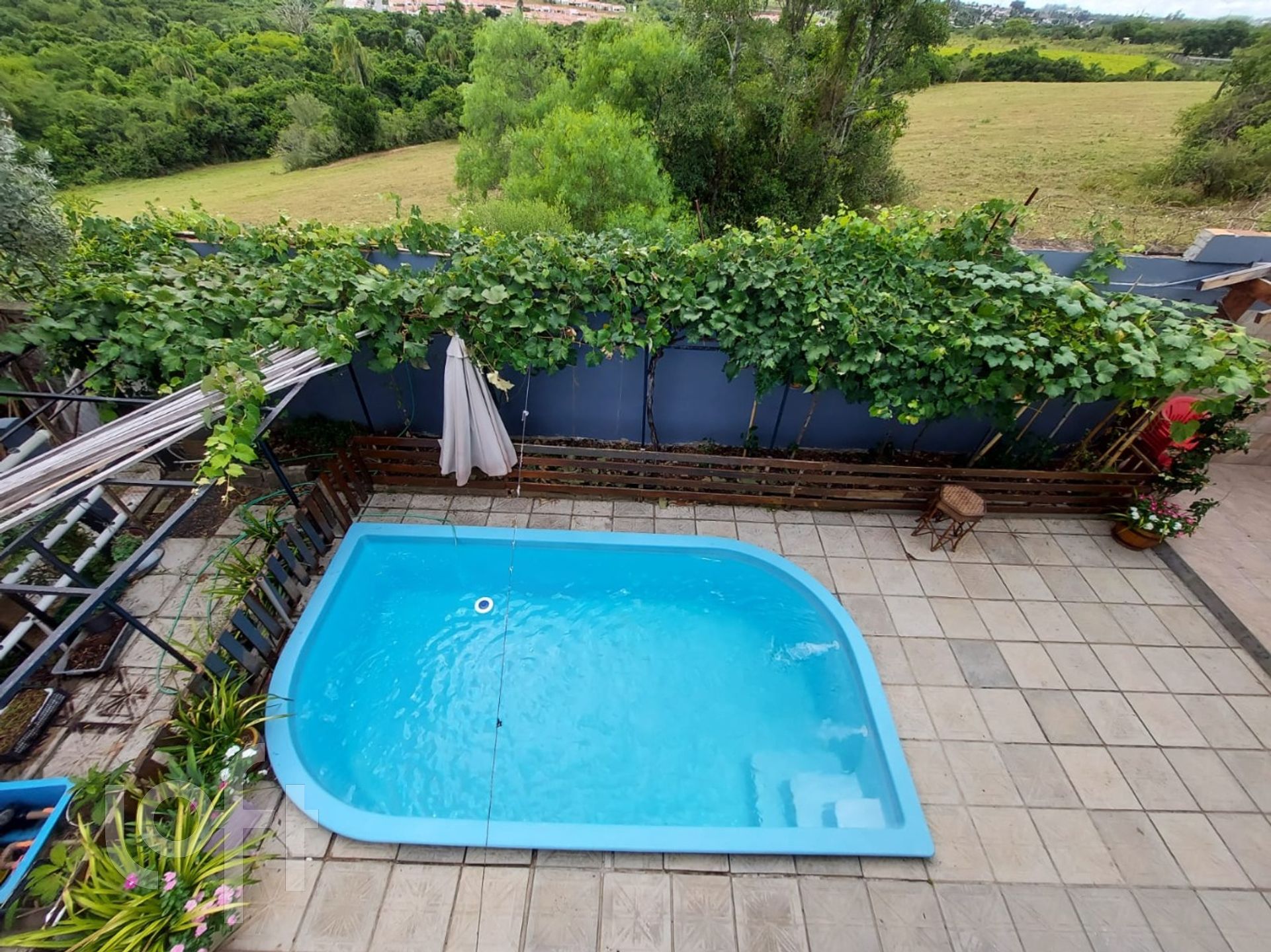 Imagem da propriedade 6