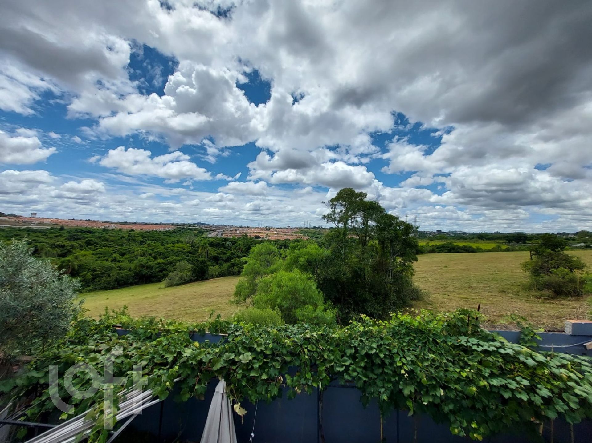 Imagem da propriedade 7