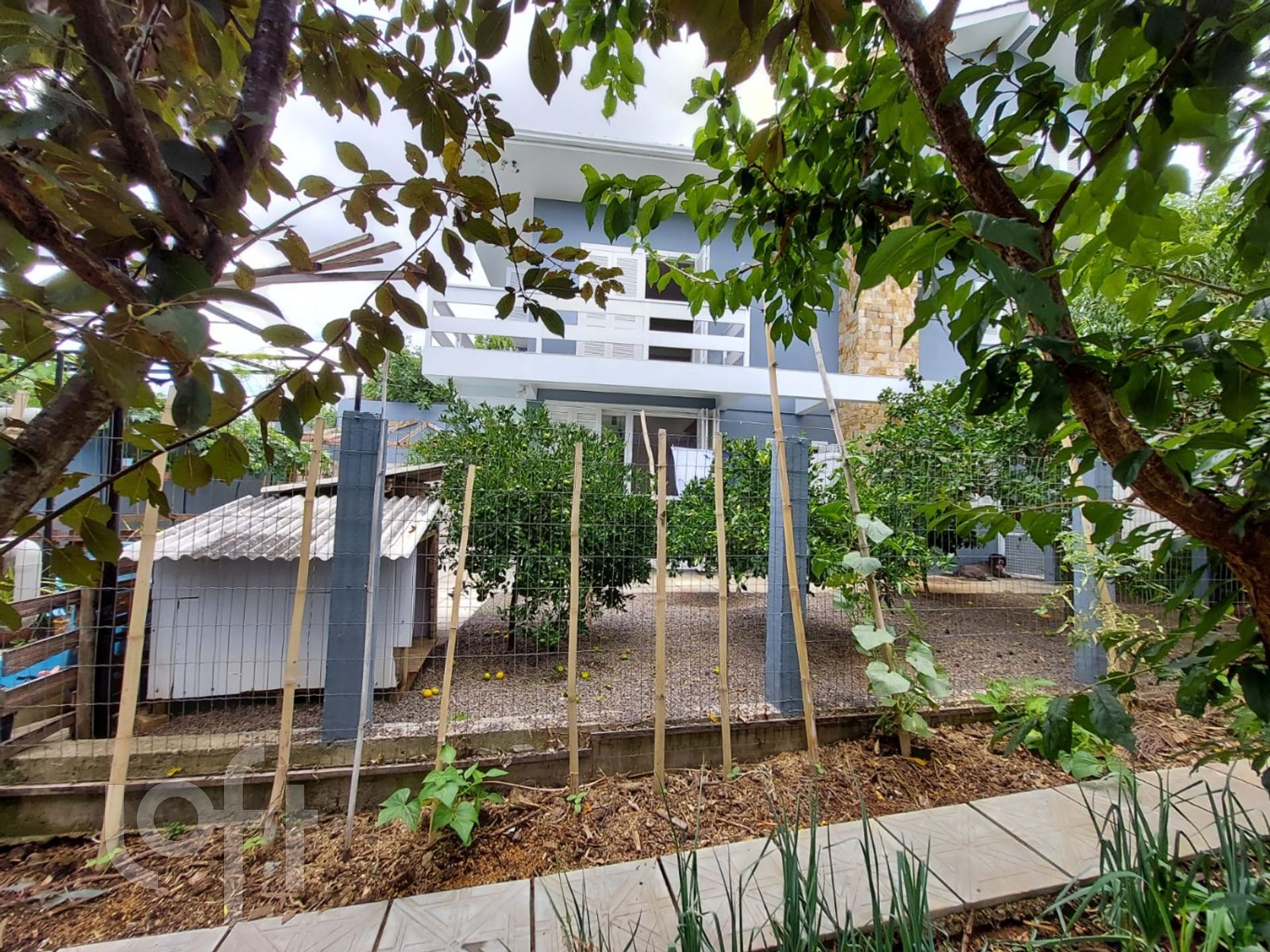 Imagem da propriedade 18