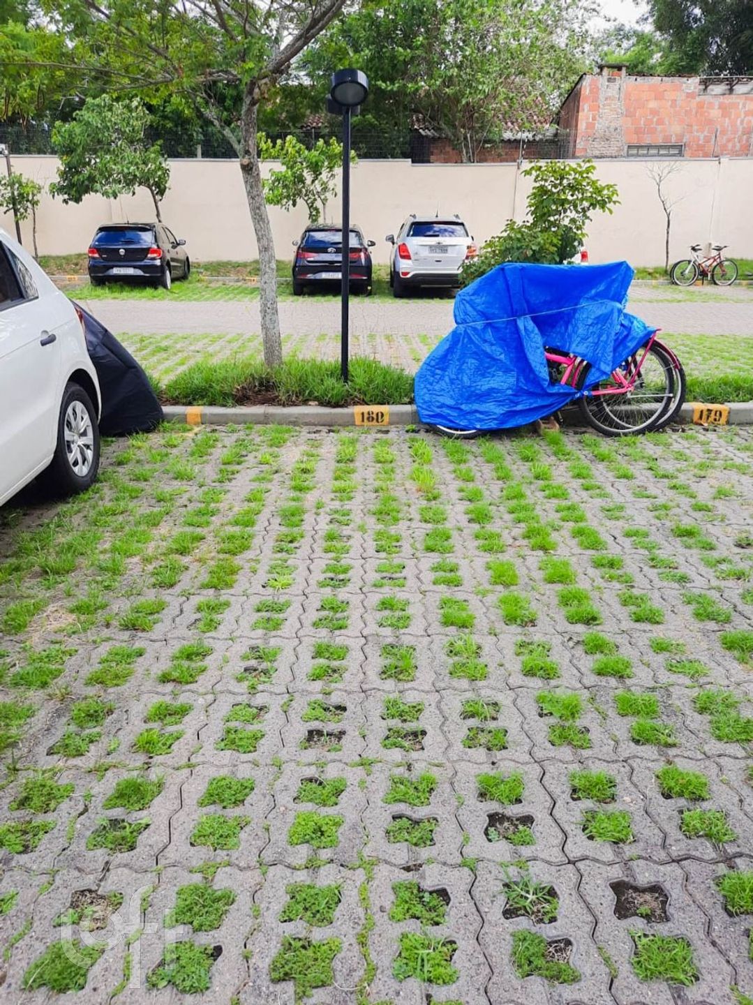 Imagem da propriedade 10