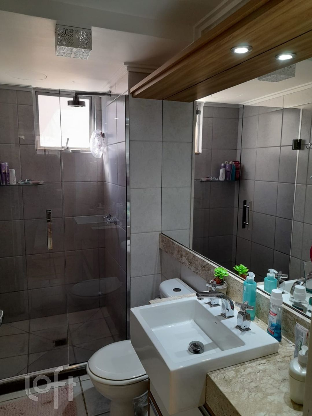 Imagem da propriedade 11