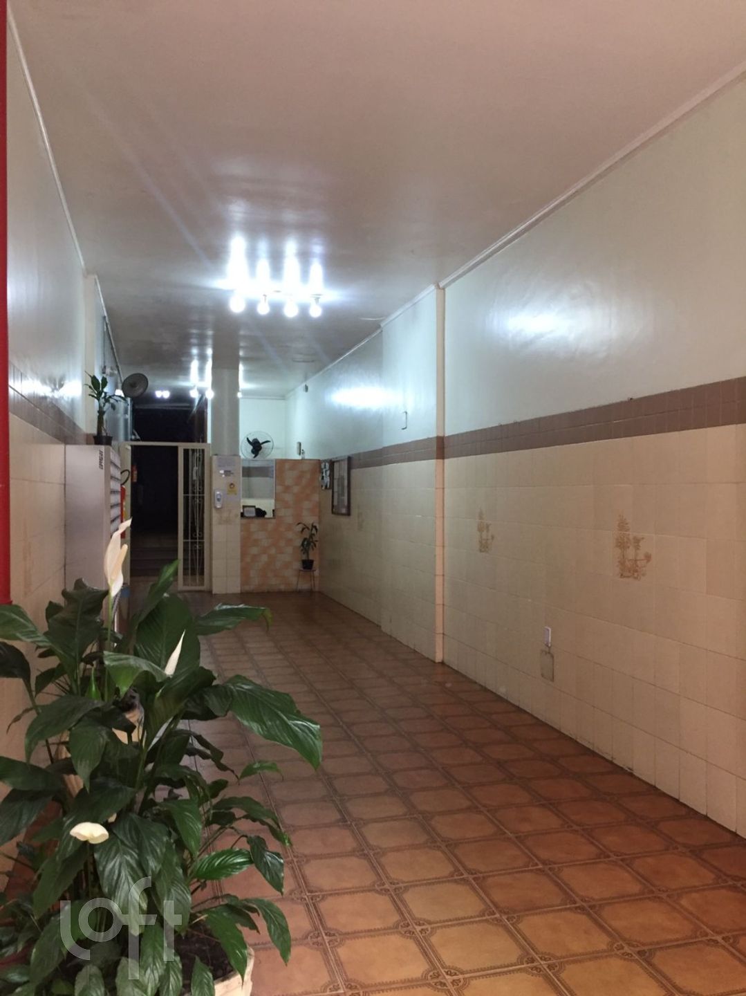 Imagem da propriedade 17