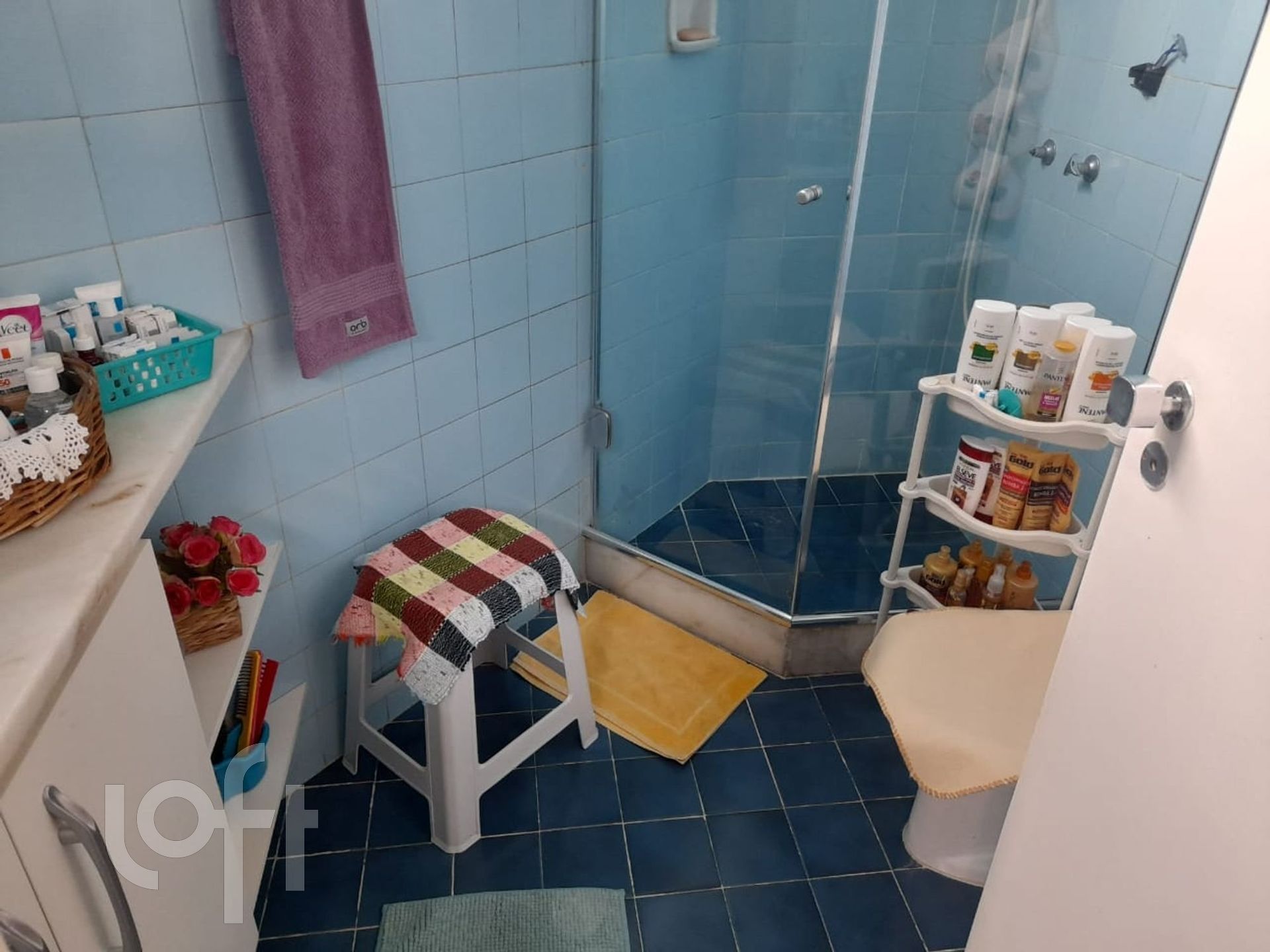 Imagem da propriedade 3