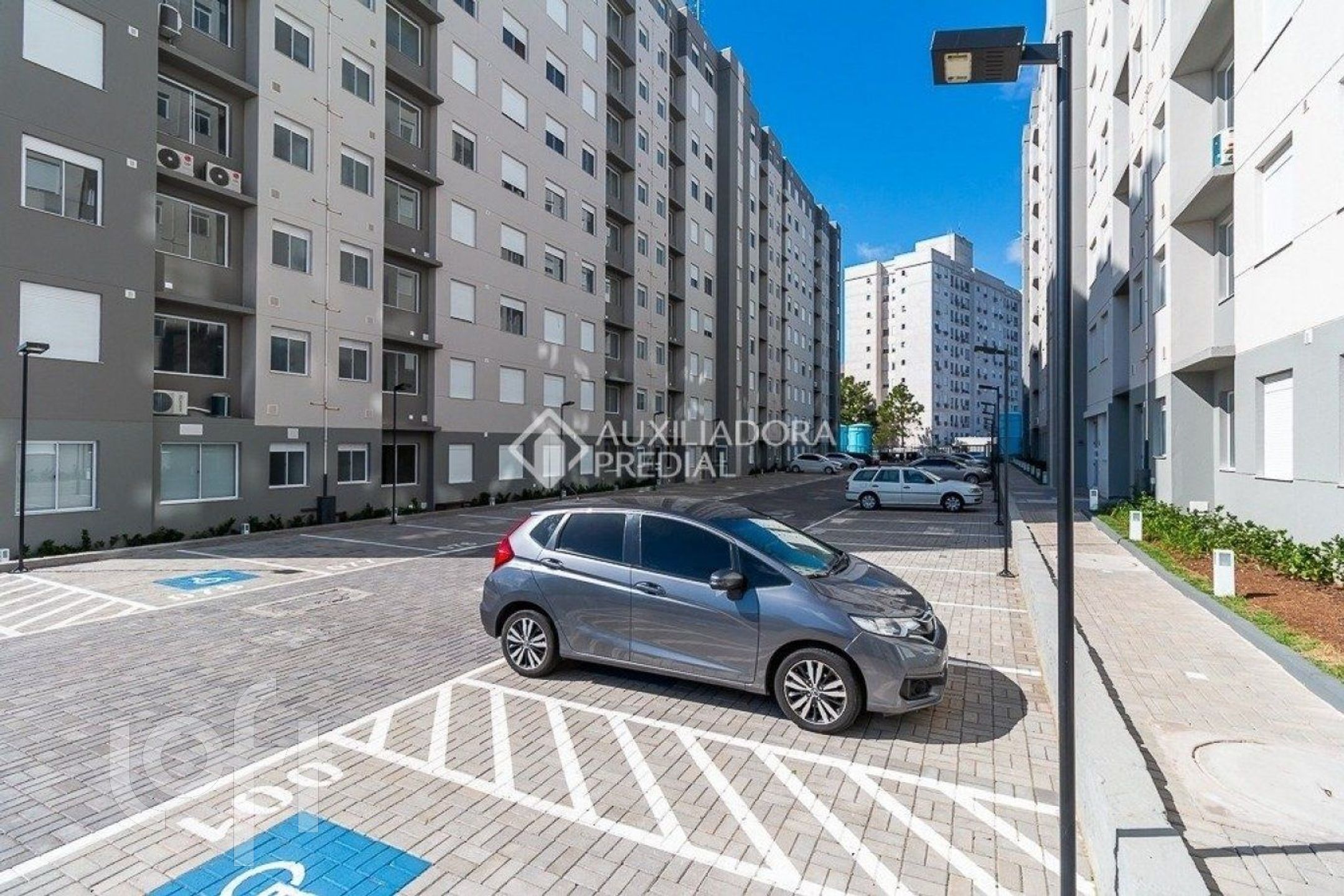 Imagem da propriedade 32