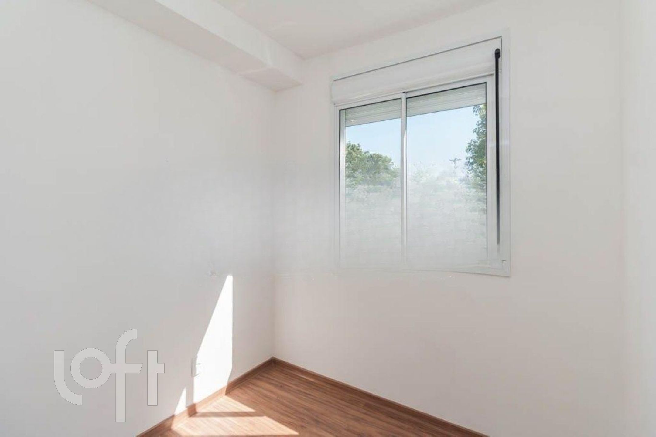 Imagem da propriedade 12