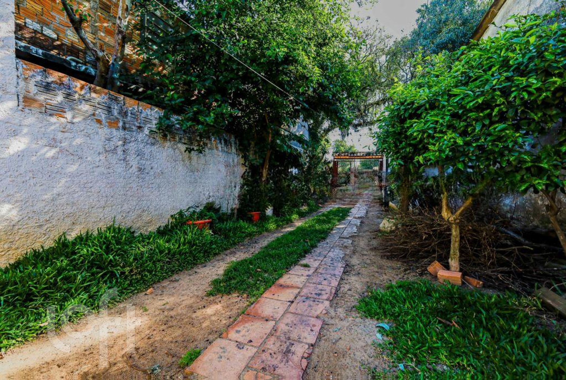 Imagem da propriedade 39