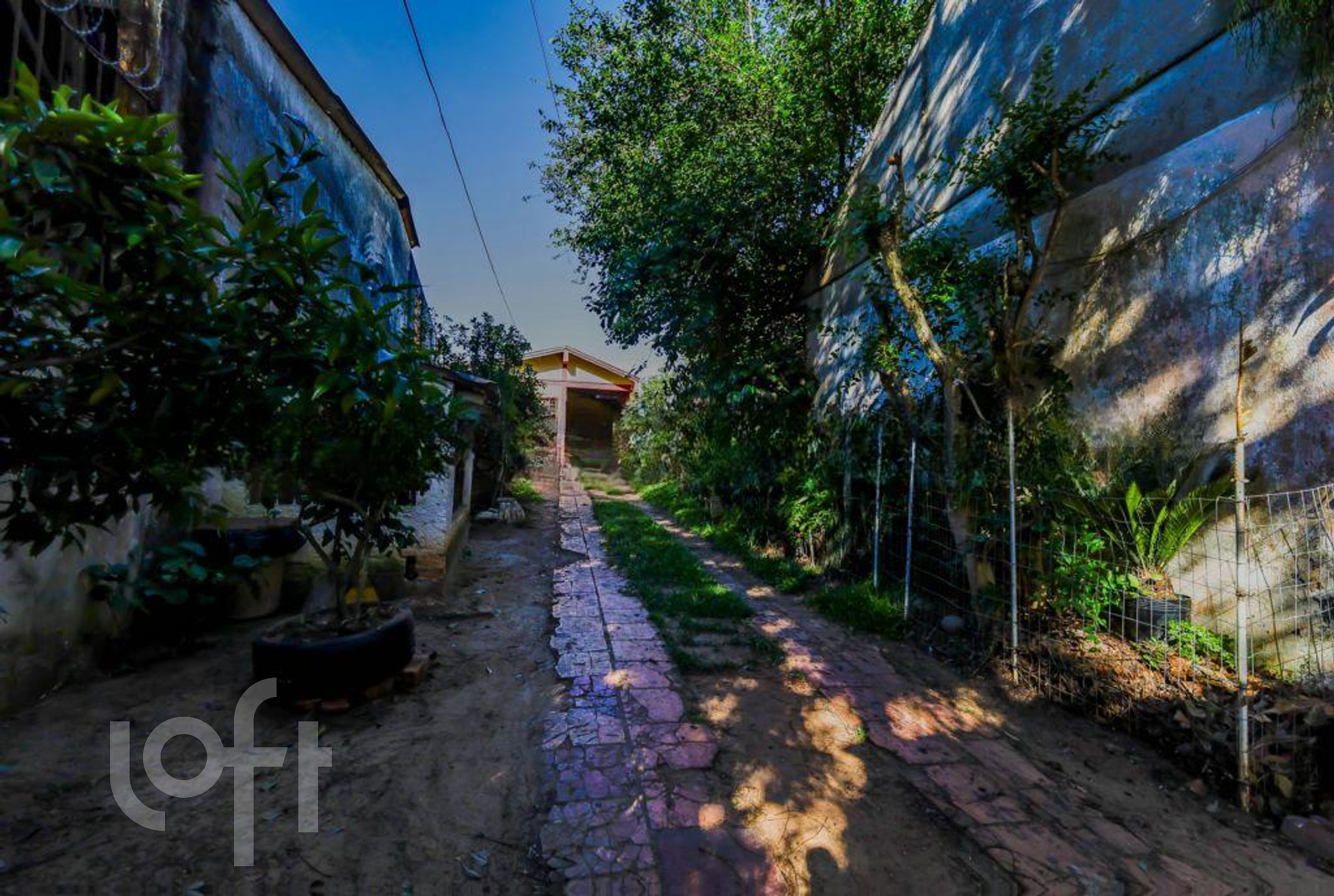 Imagem da propriedade 37