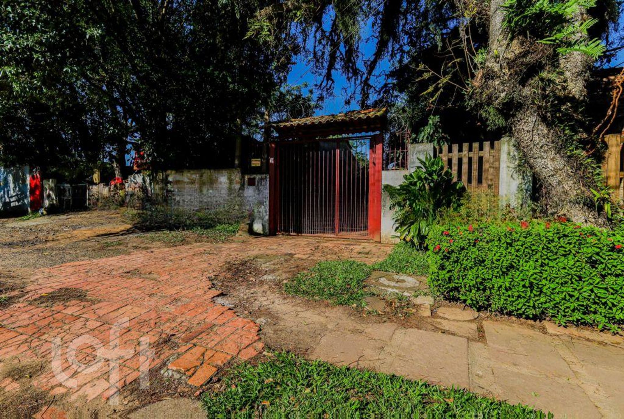 Imagem da propriedade 40