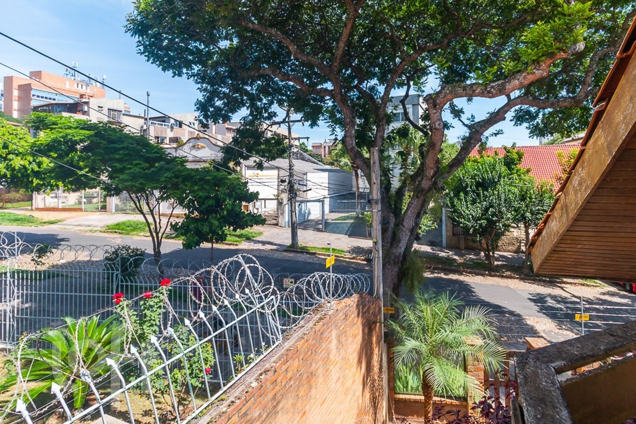 Imagem da propriedade 37