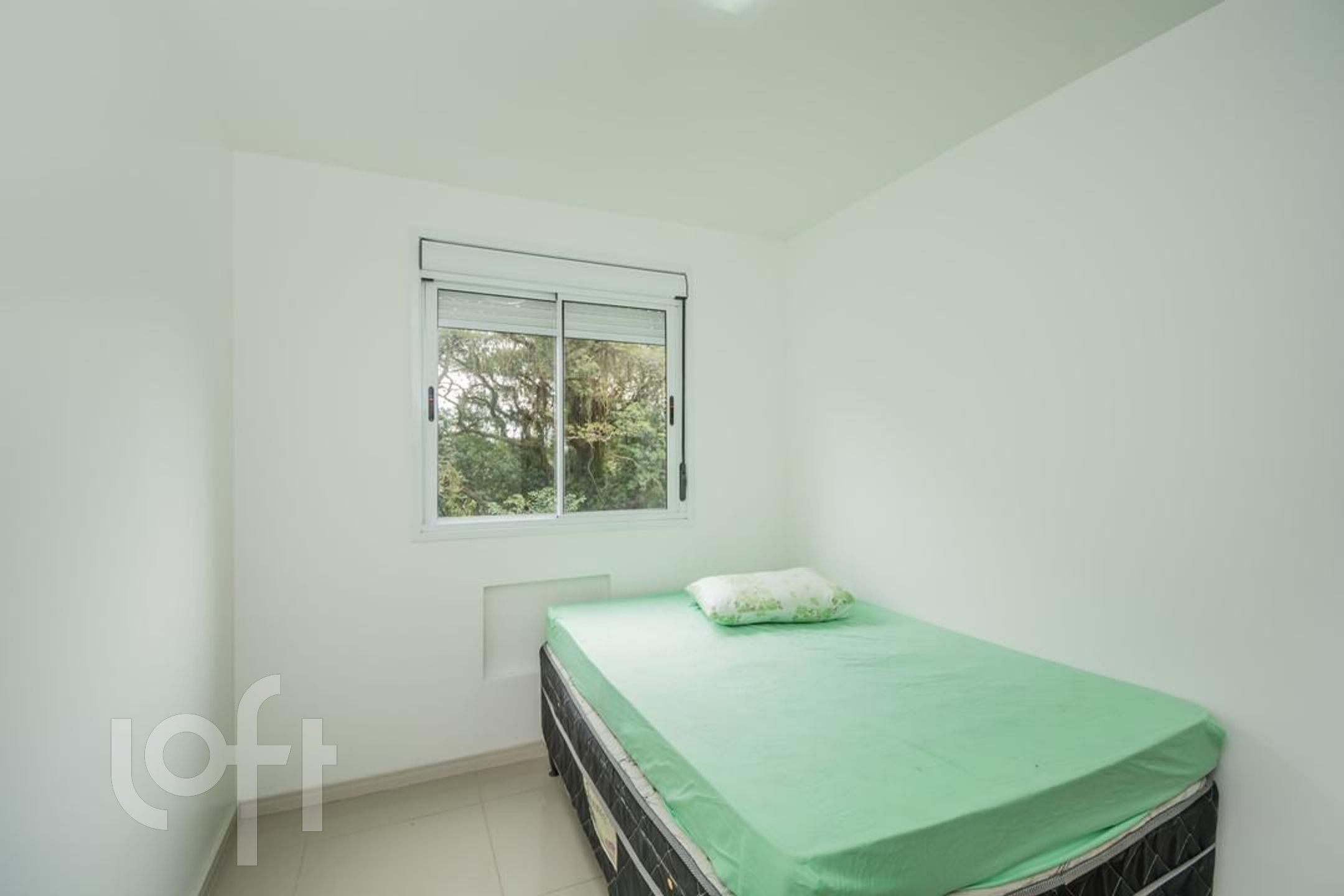 Imagem da propriedade 18