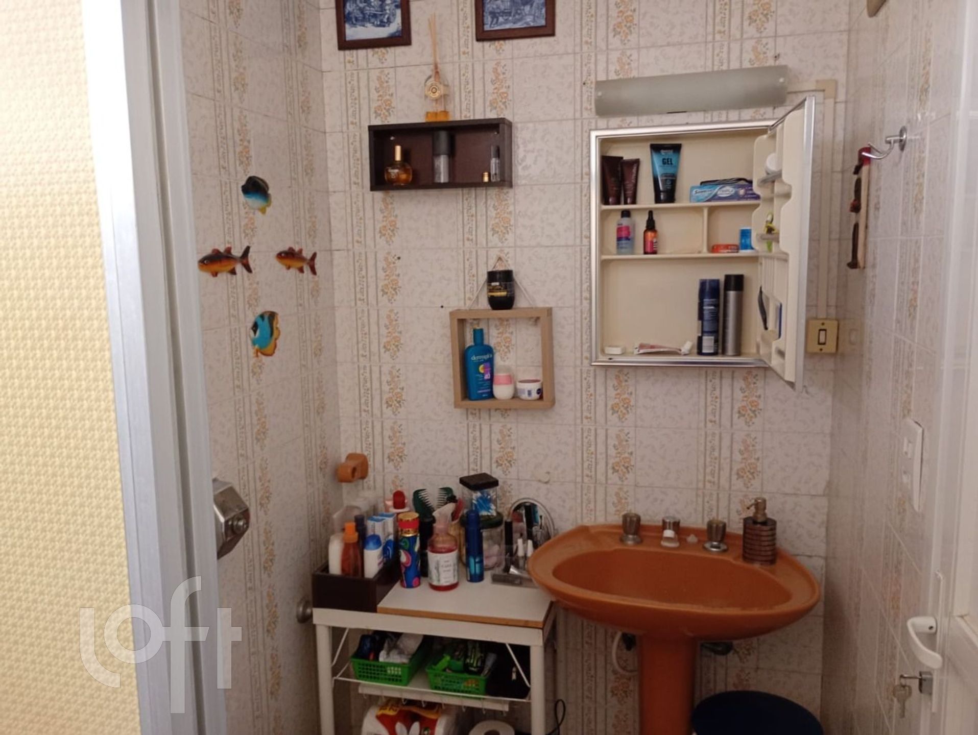 Imagem da propriedade 21