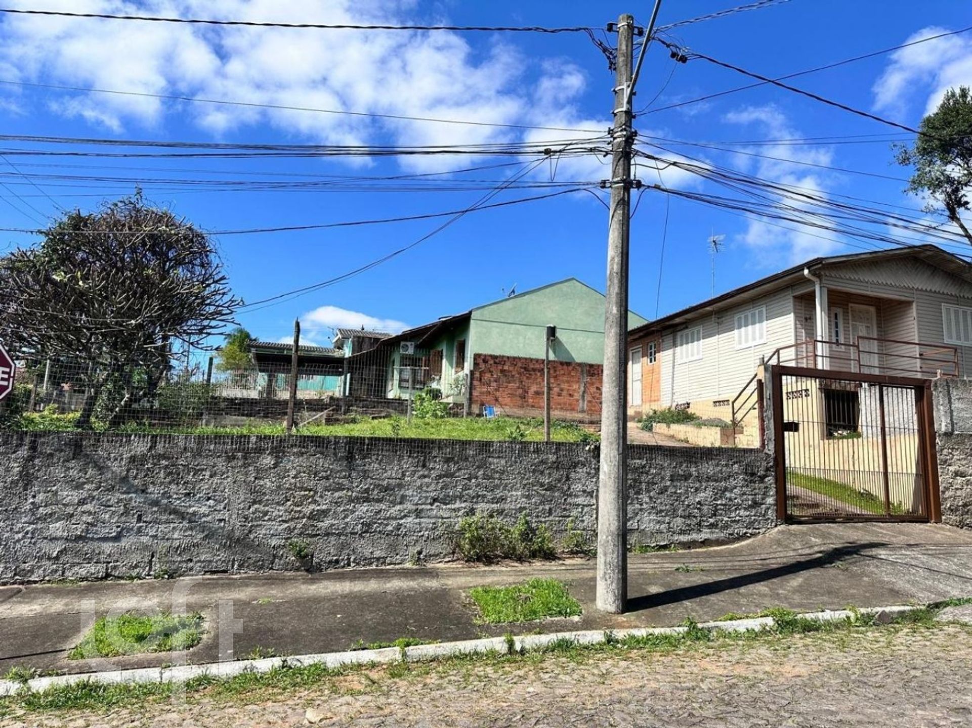 Imagem da propriedade 6