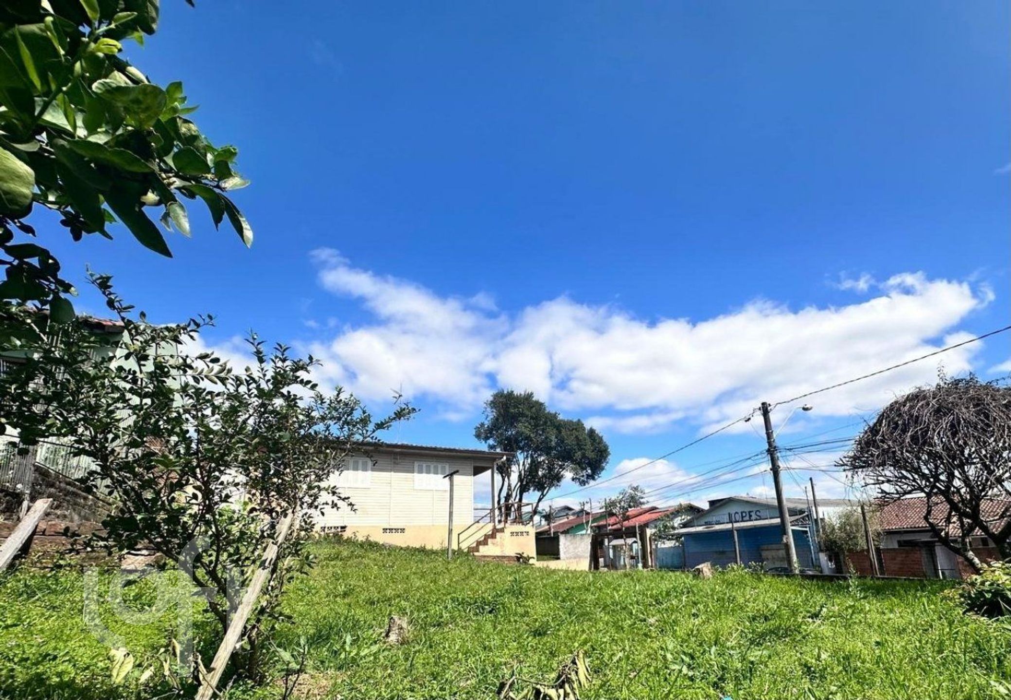 Imagem da propriedade 3