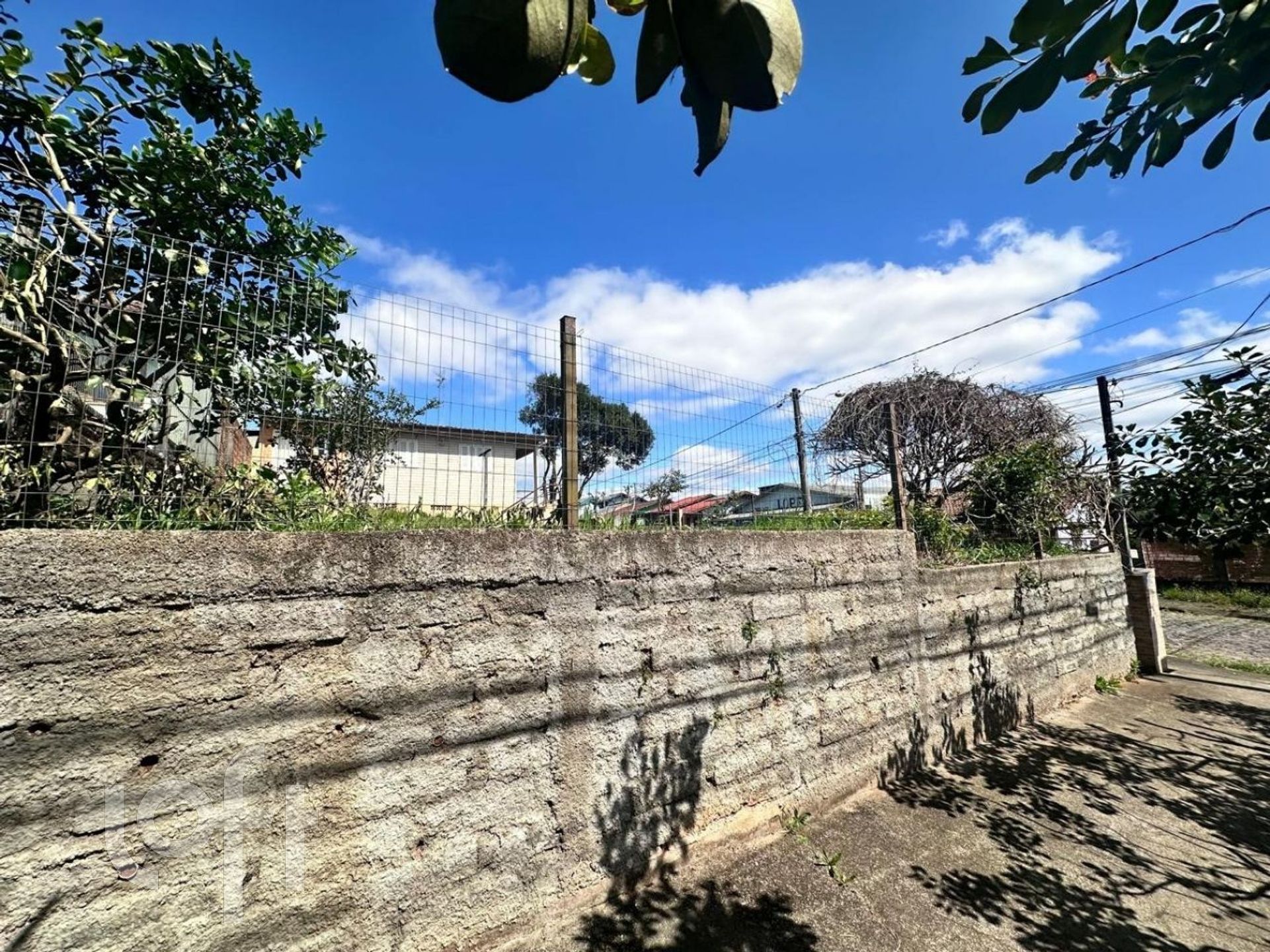 Imagem da propriedade 4