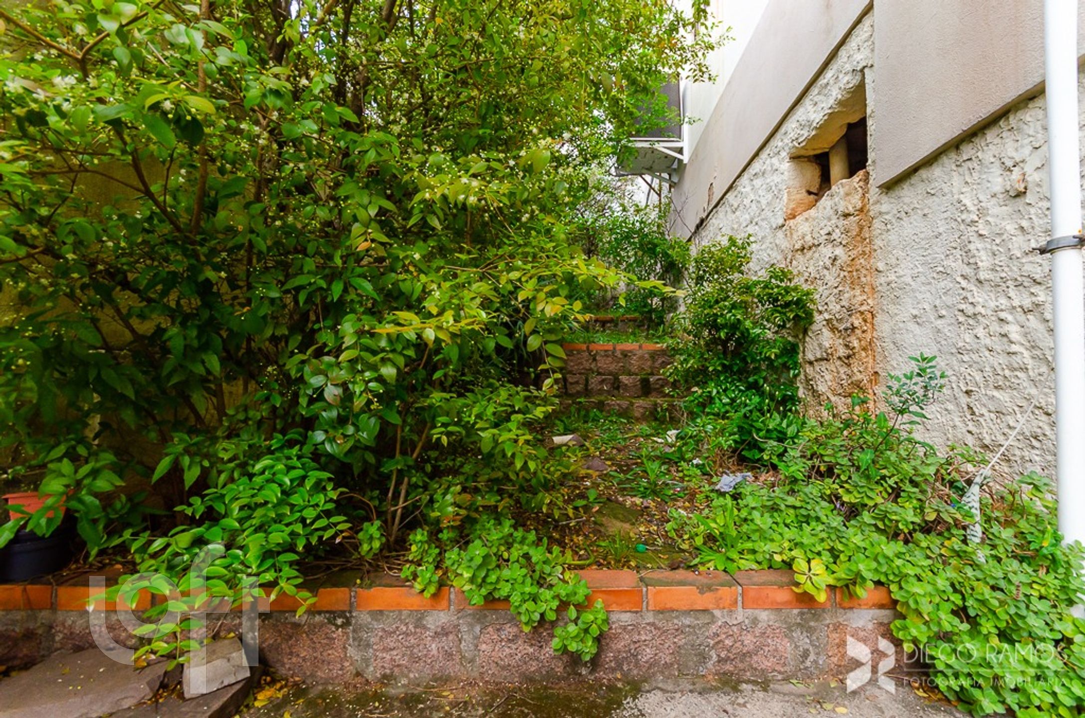 Imagem da propriedade 35