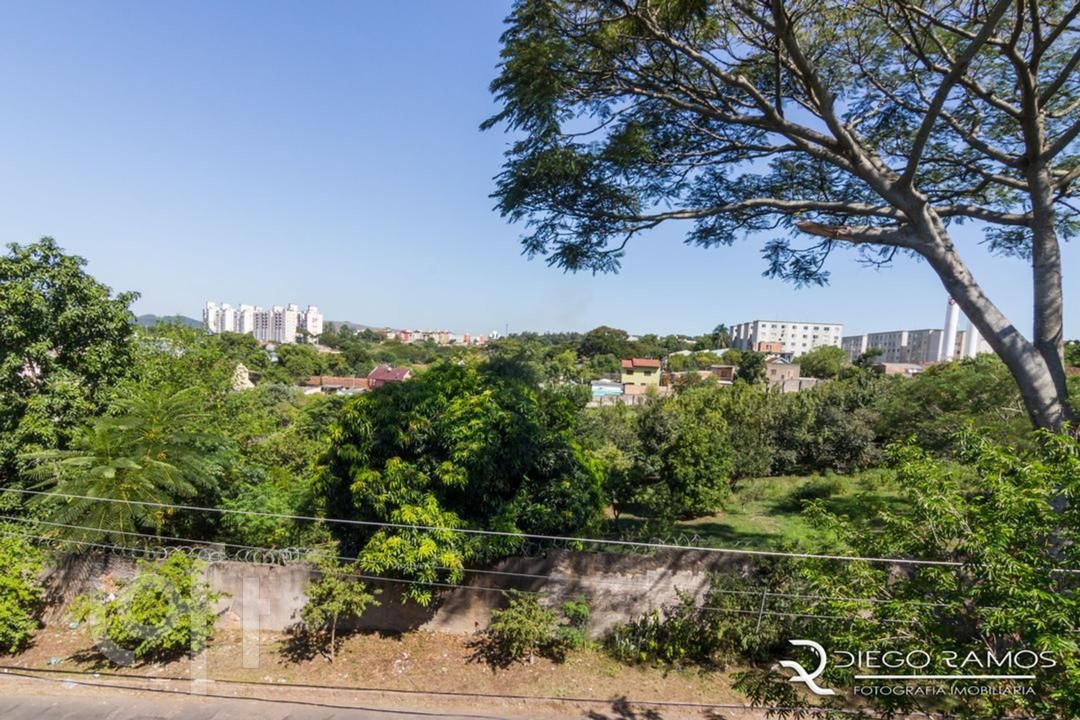 Imagem da propriedade 6