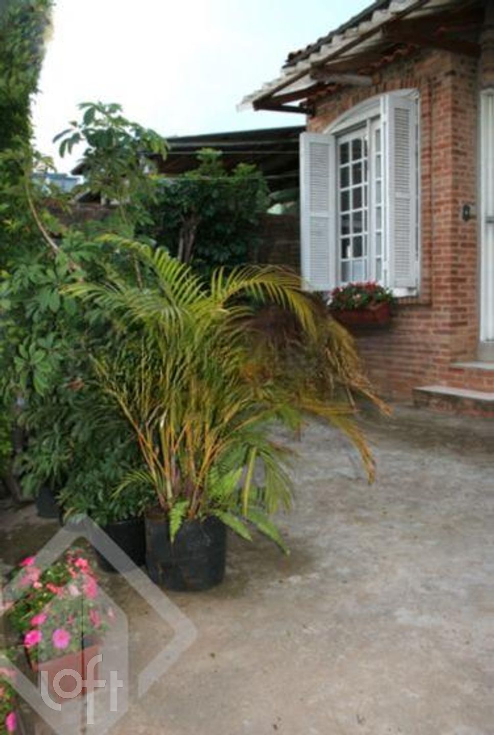 Imagem da propriedade 13