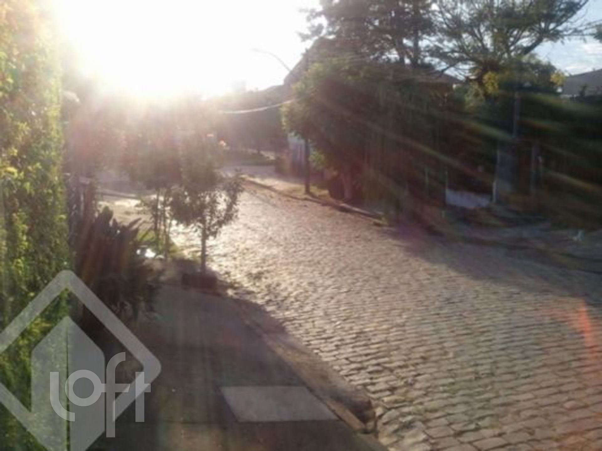 Imagem da propriedade 7