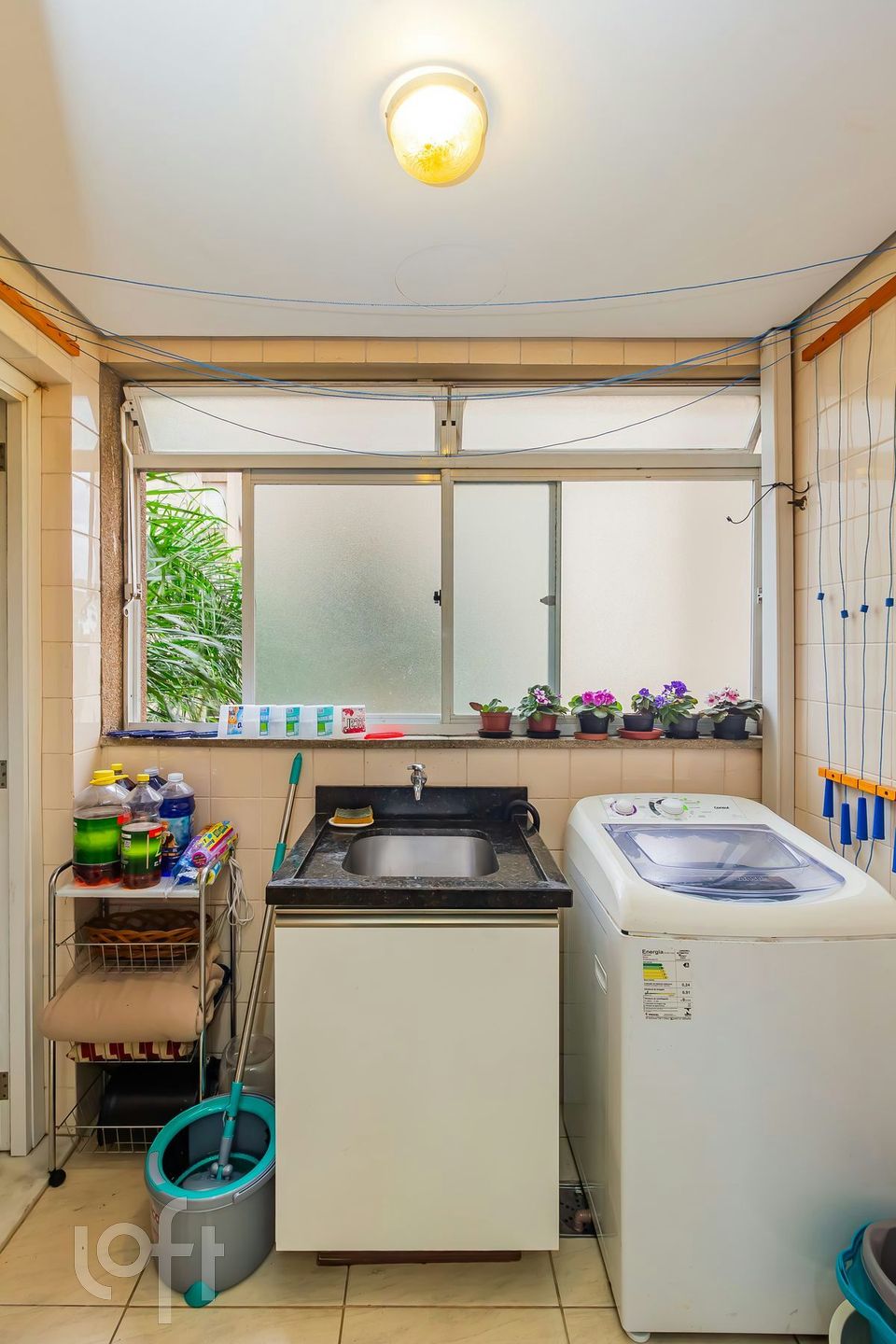 Imagem da propriedade 25