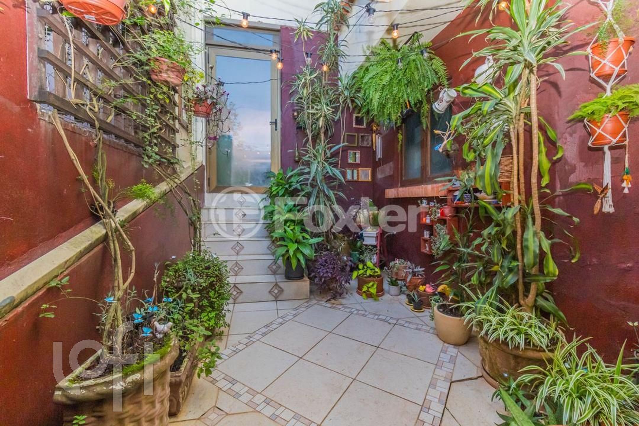 Imagem da propriedade 30