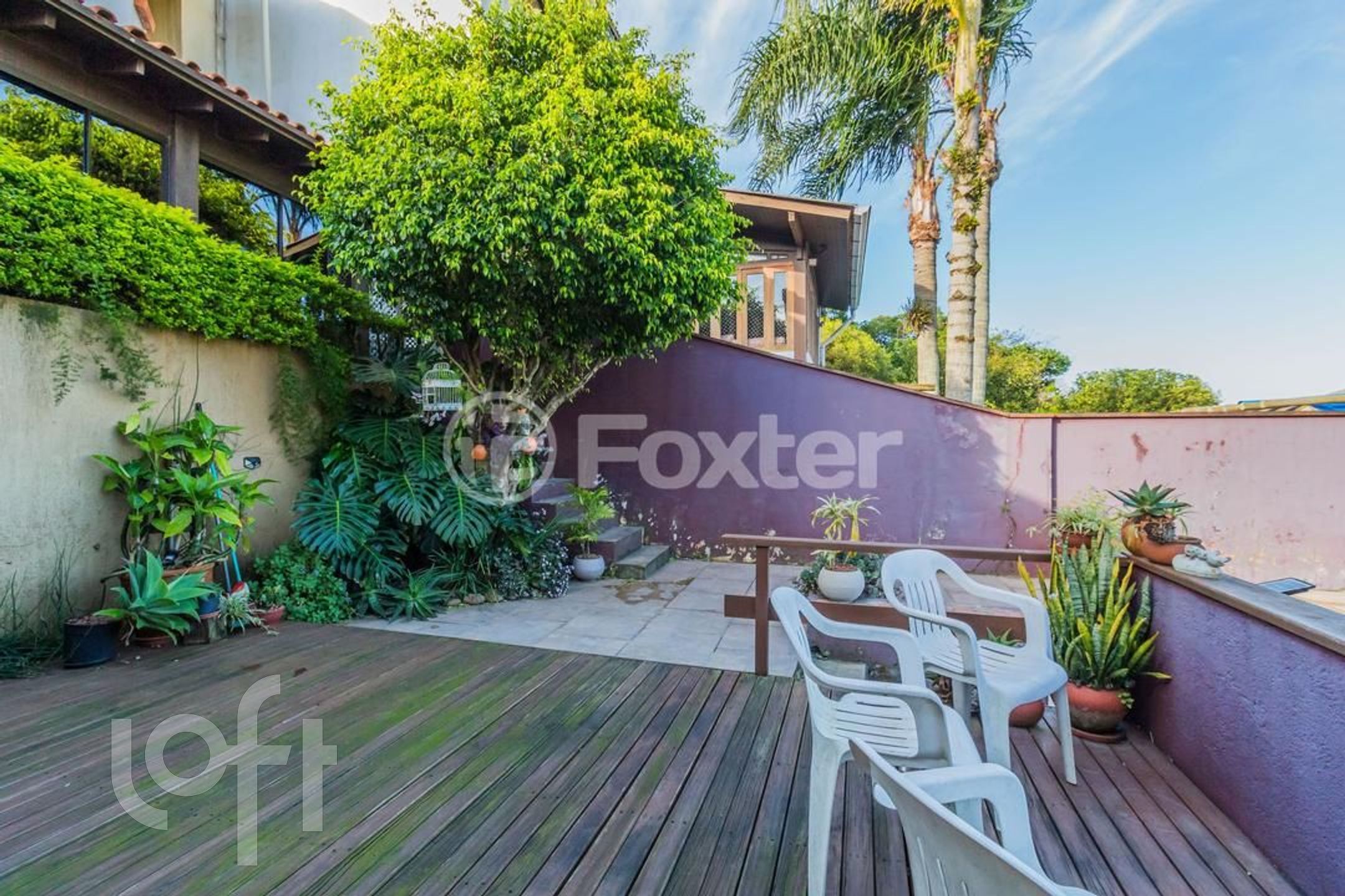 Imagem da propriedade 33