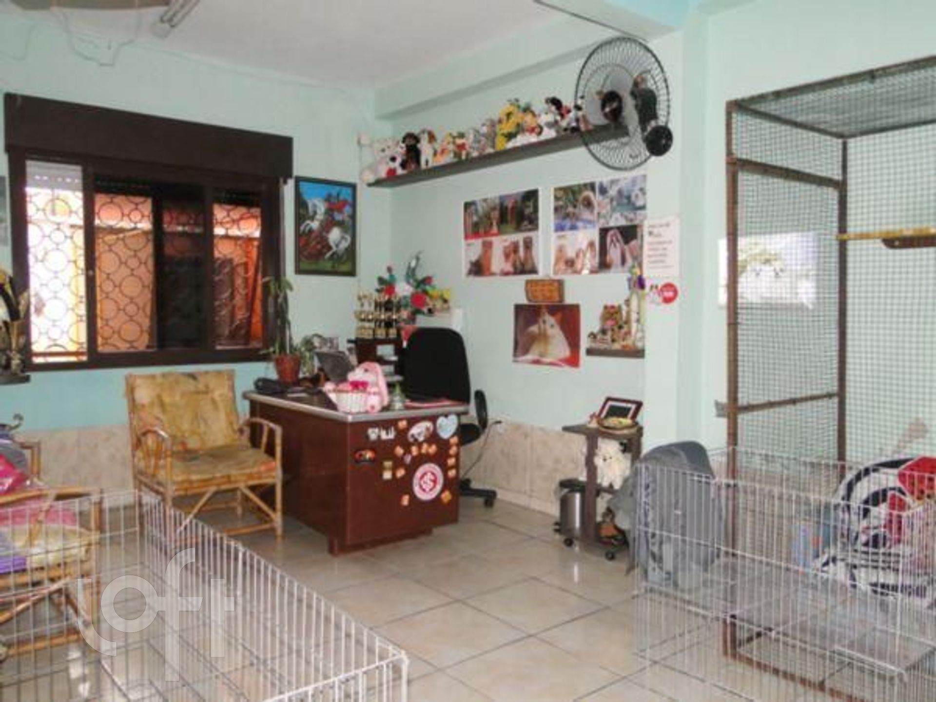 Imagem da propriedade 6