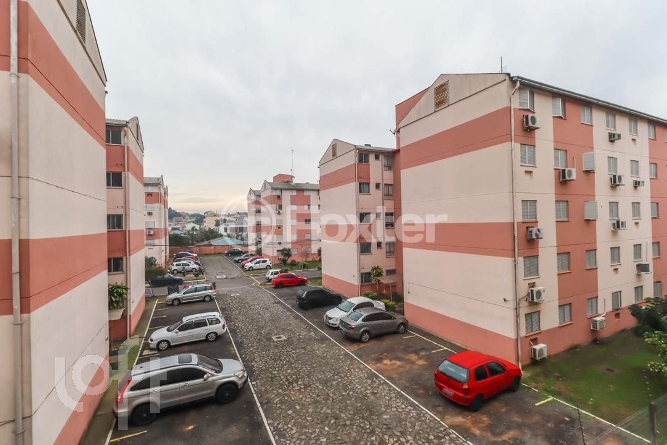 Imagem da propriedade 13