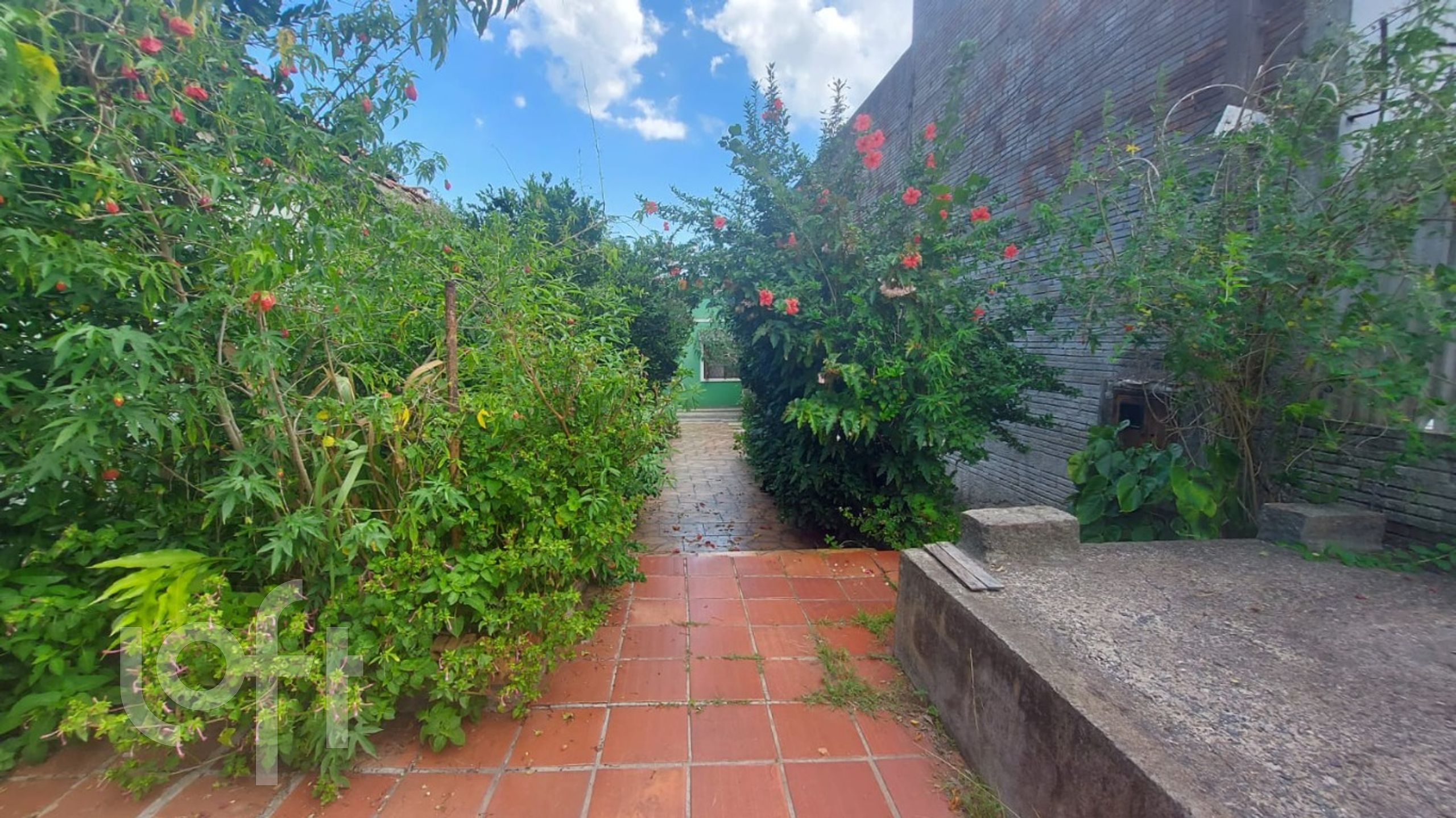 Imagem da propriedade 3