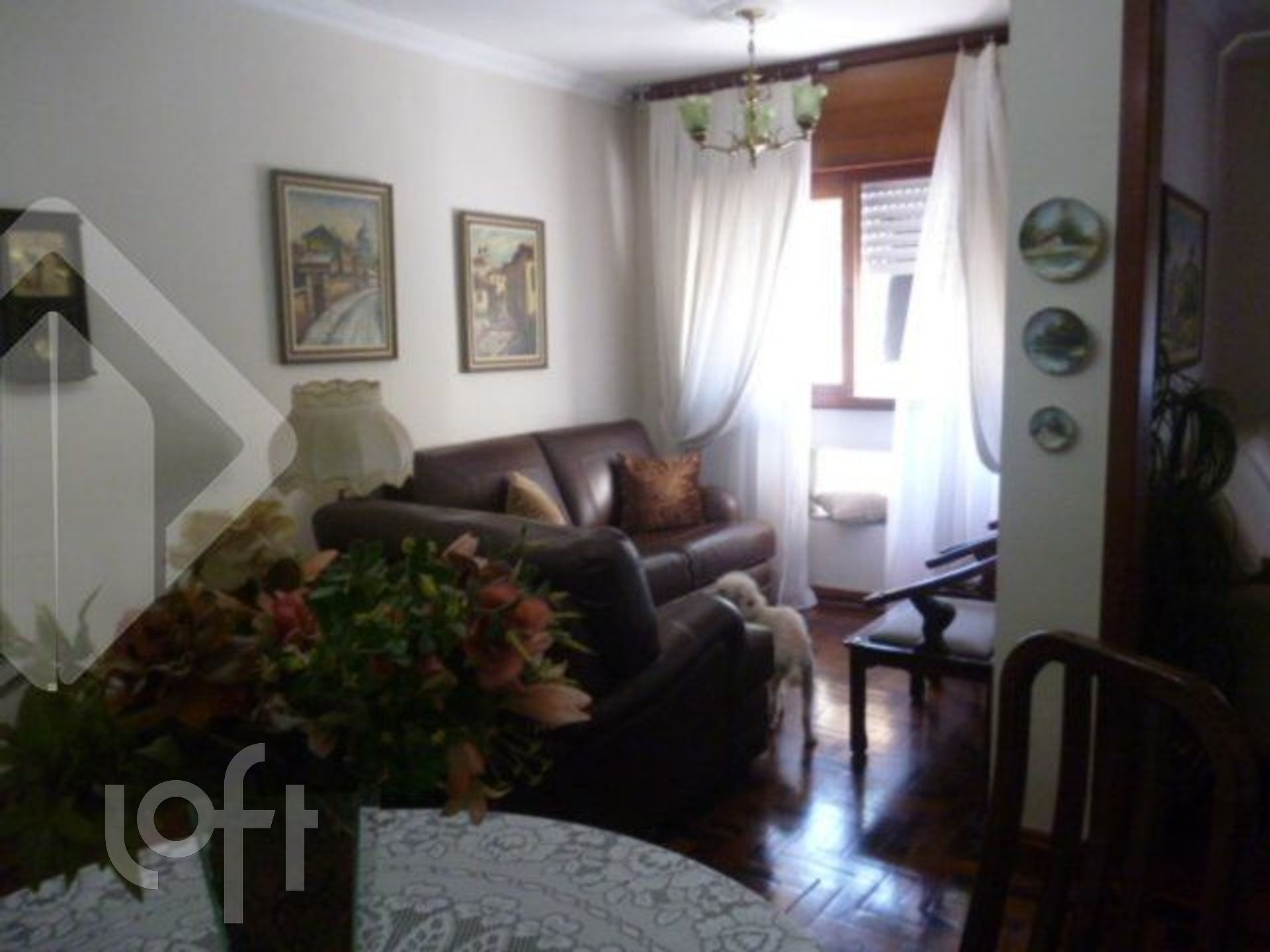 Imagem da propriedade 11