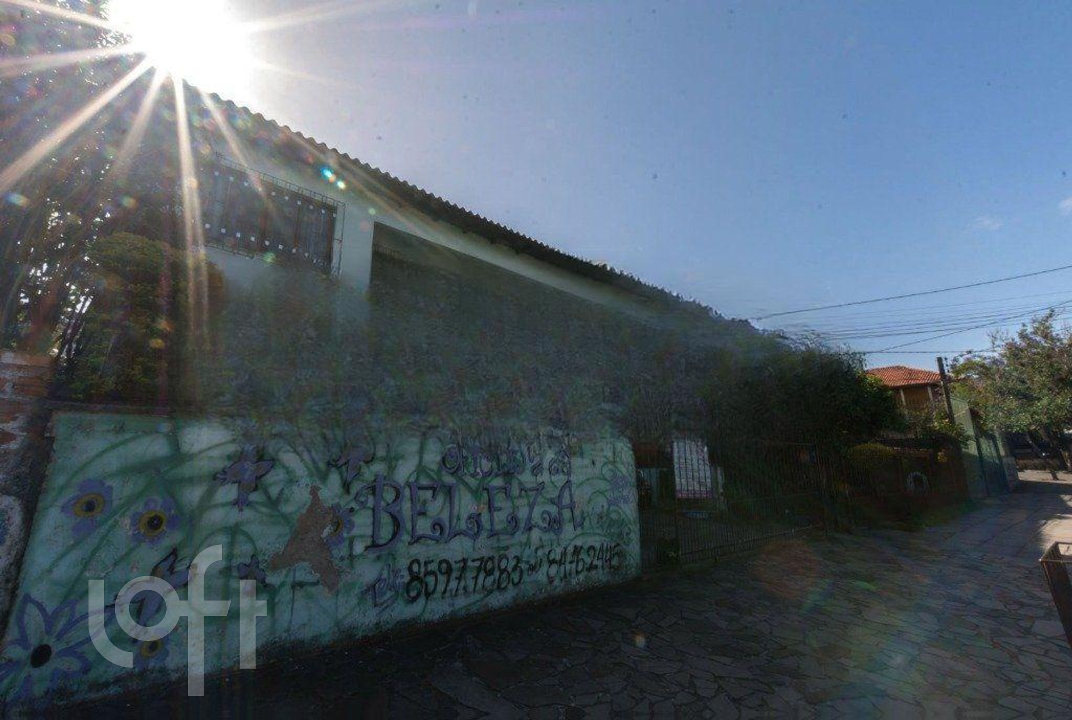 Imagem da propriedade 50