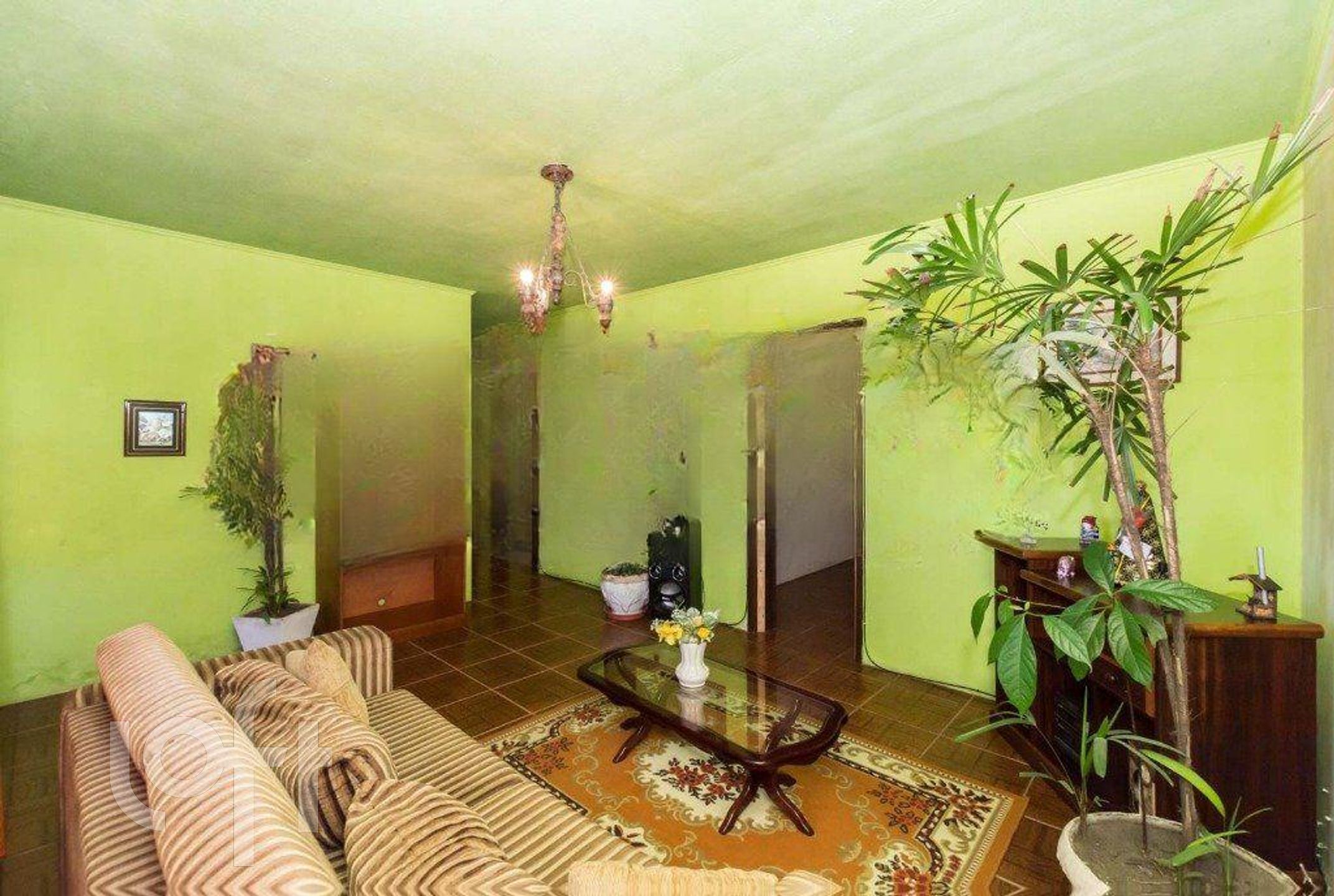 Imagem da propriedade 3