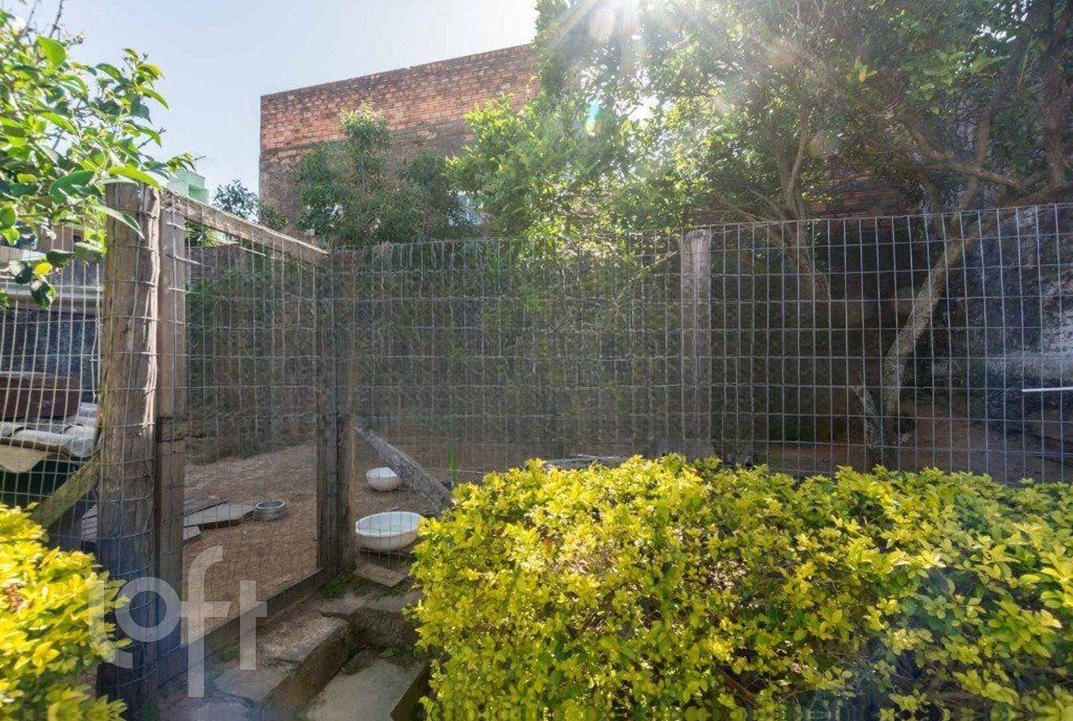 Imagem da propriedade 42