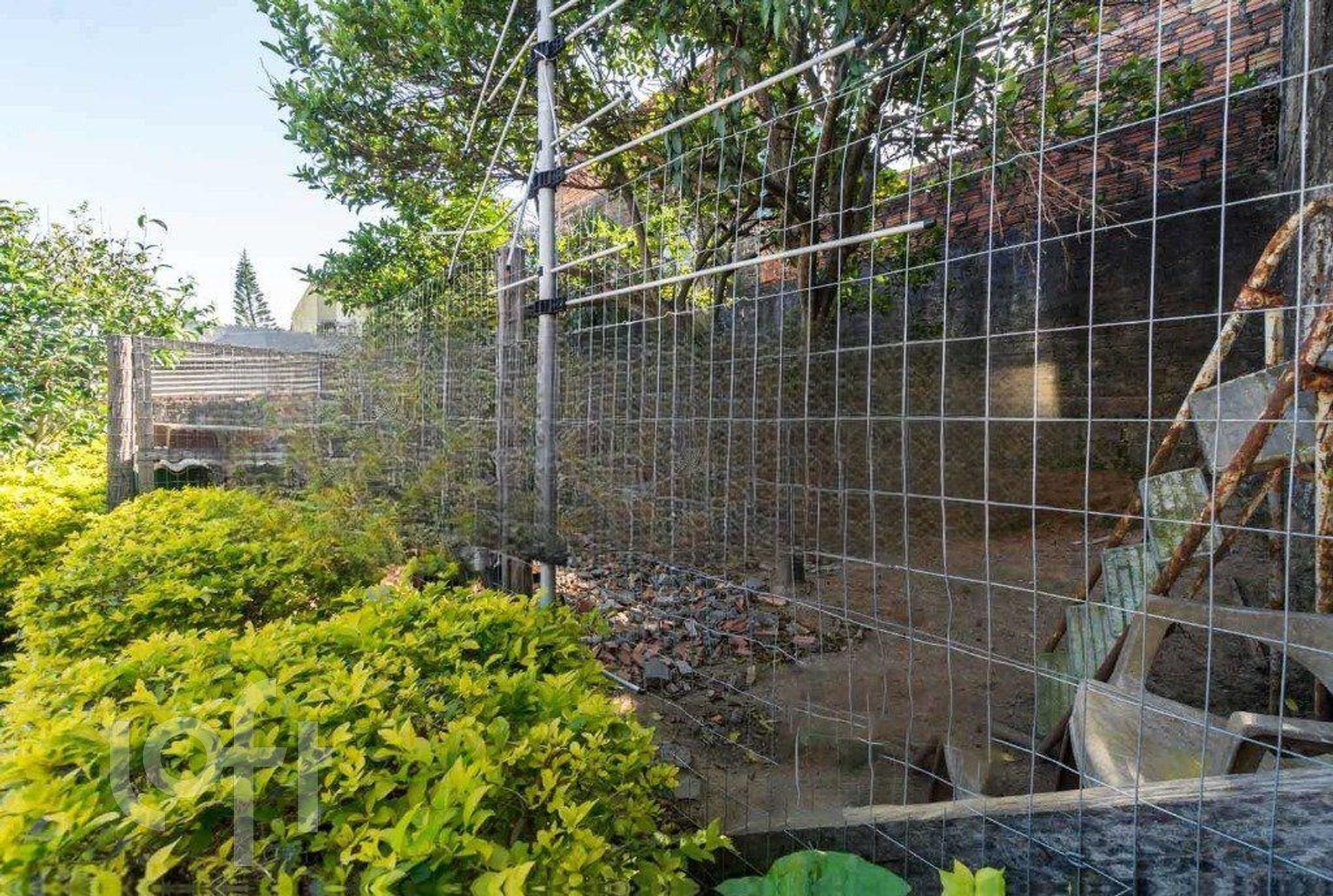 Imagem da propriedade 35