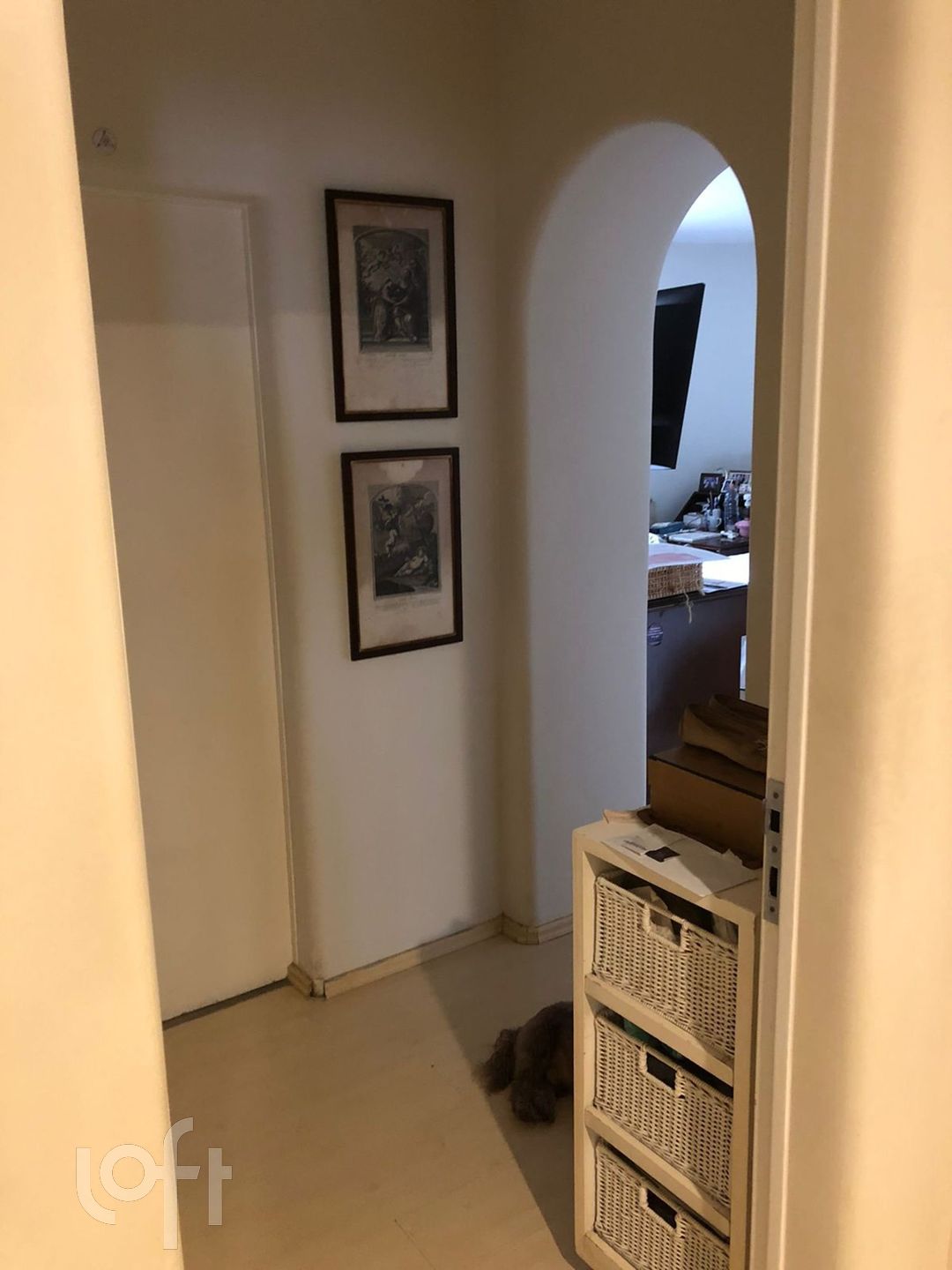 Apartamento à venda com 3 quartos, 245m² - Foto 6