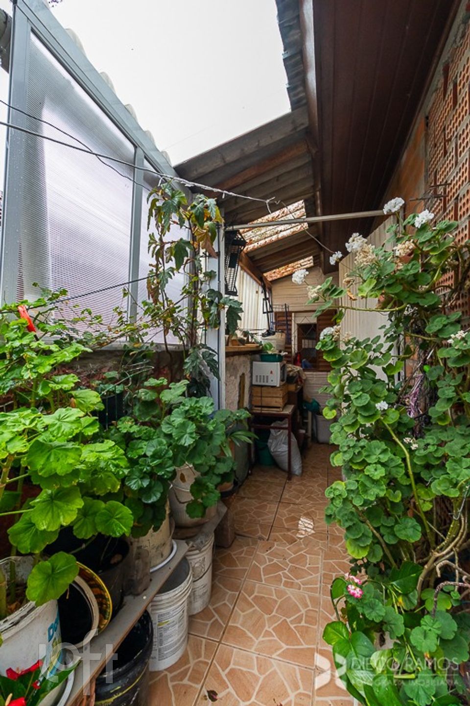 Imagem da propriedade 55