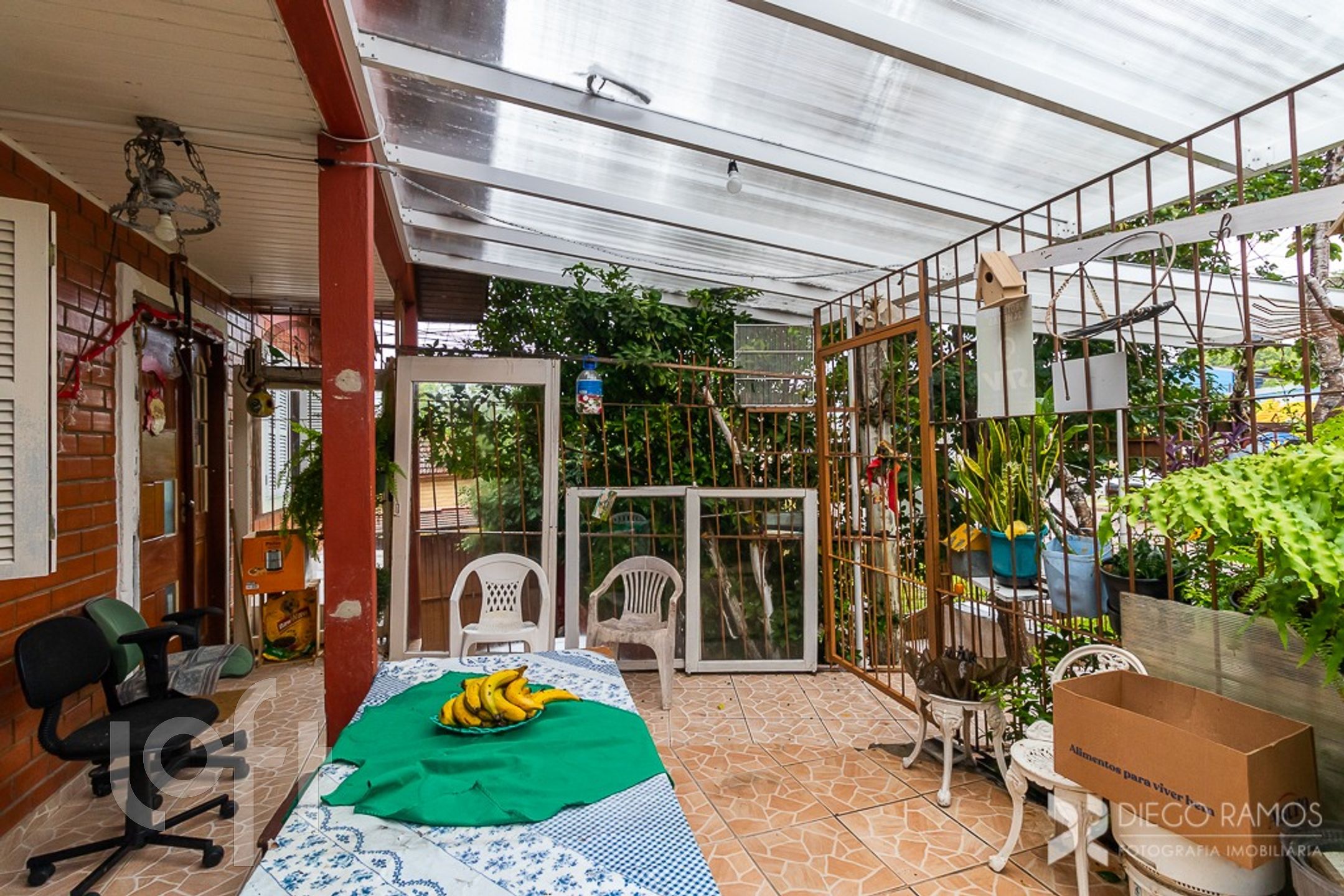 Imagem da propriedade 56