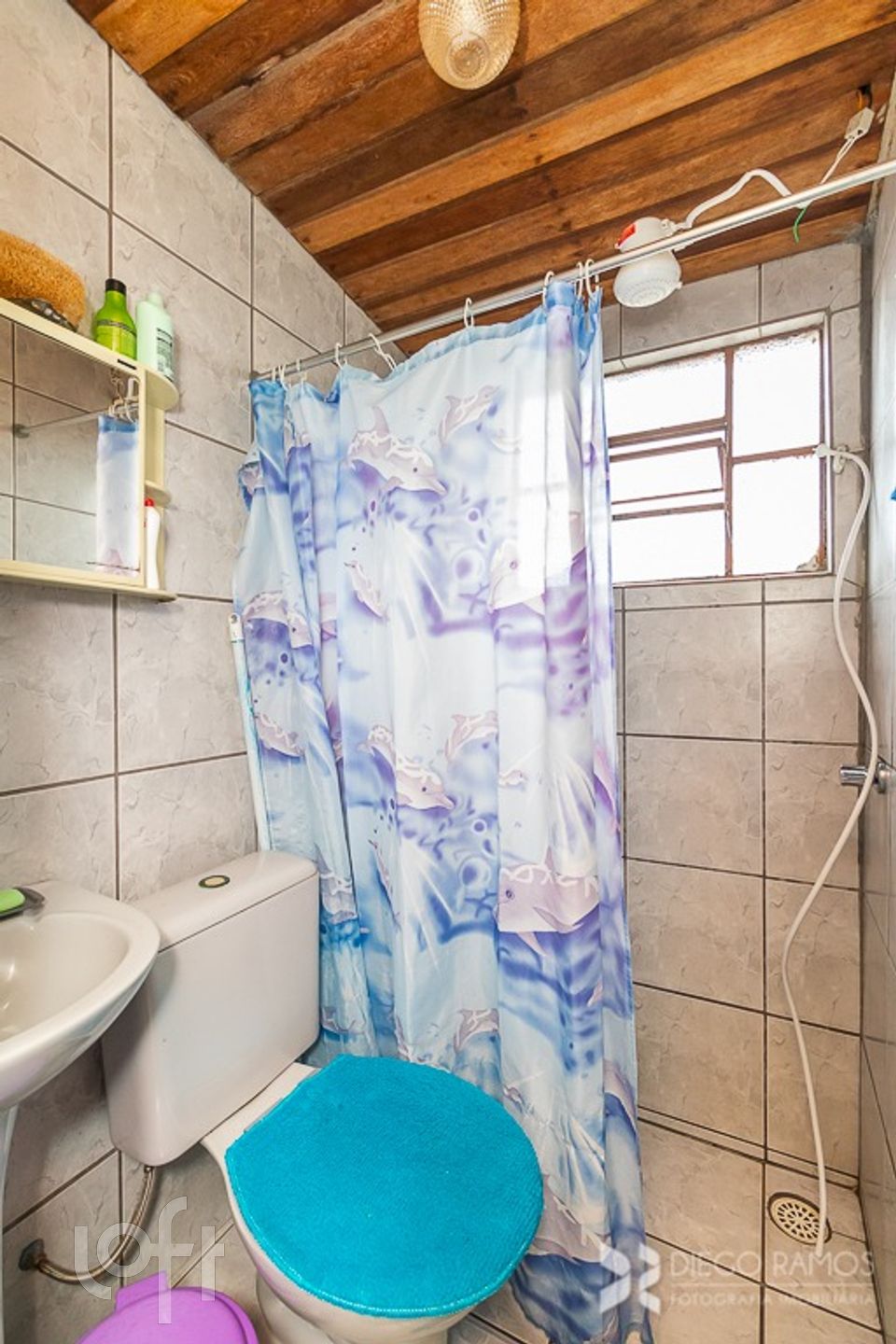 Imagem da propriedade 15