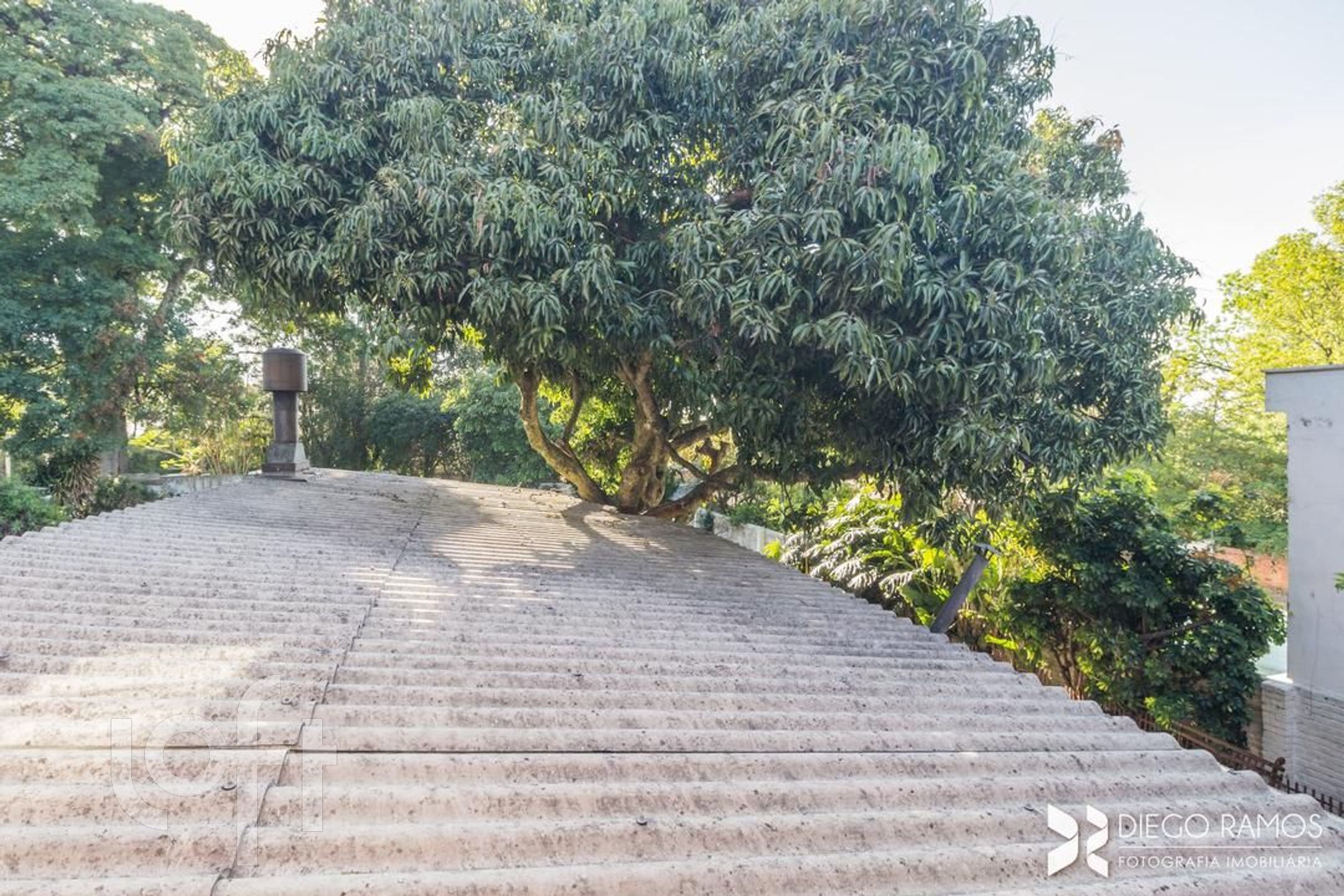 Imagem da propriedade 56