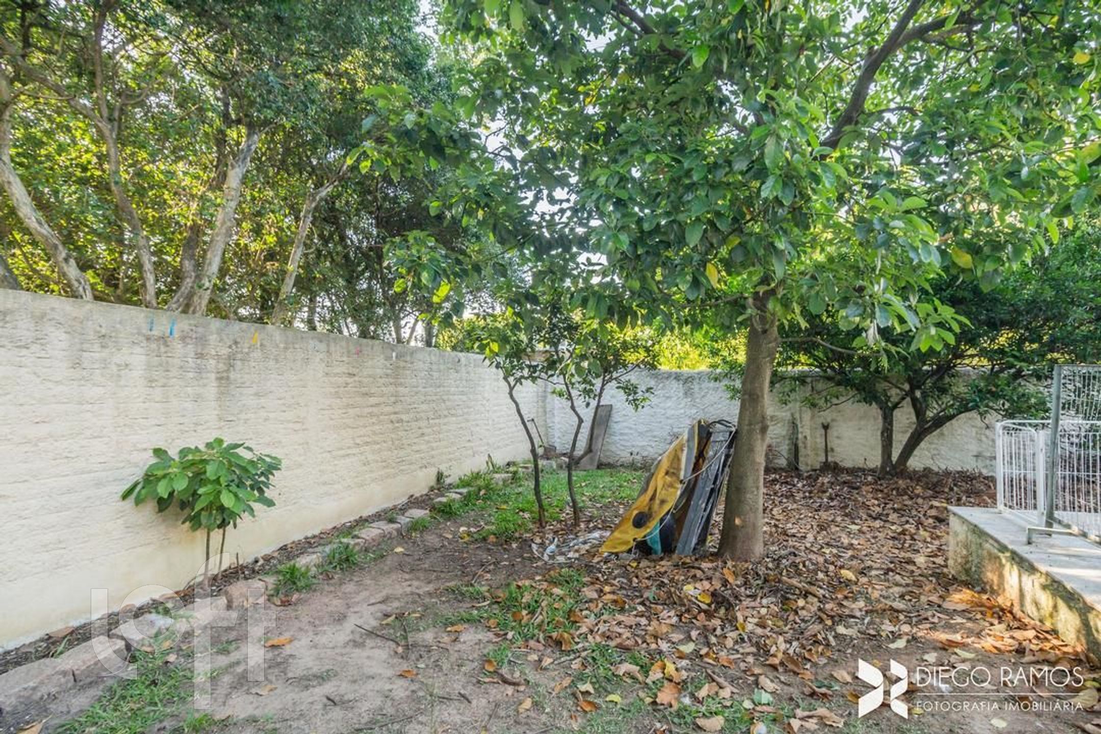 Imagem da propriedade 82