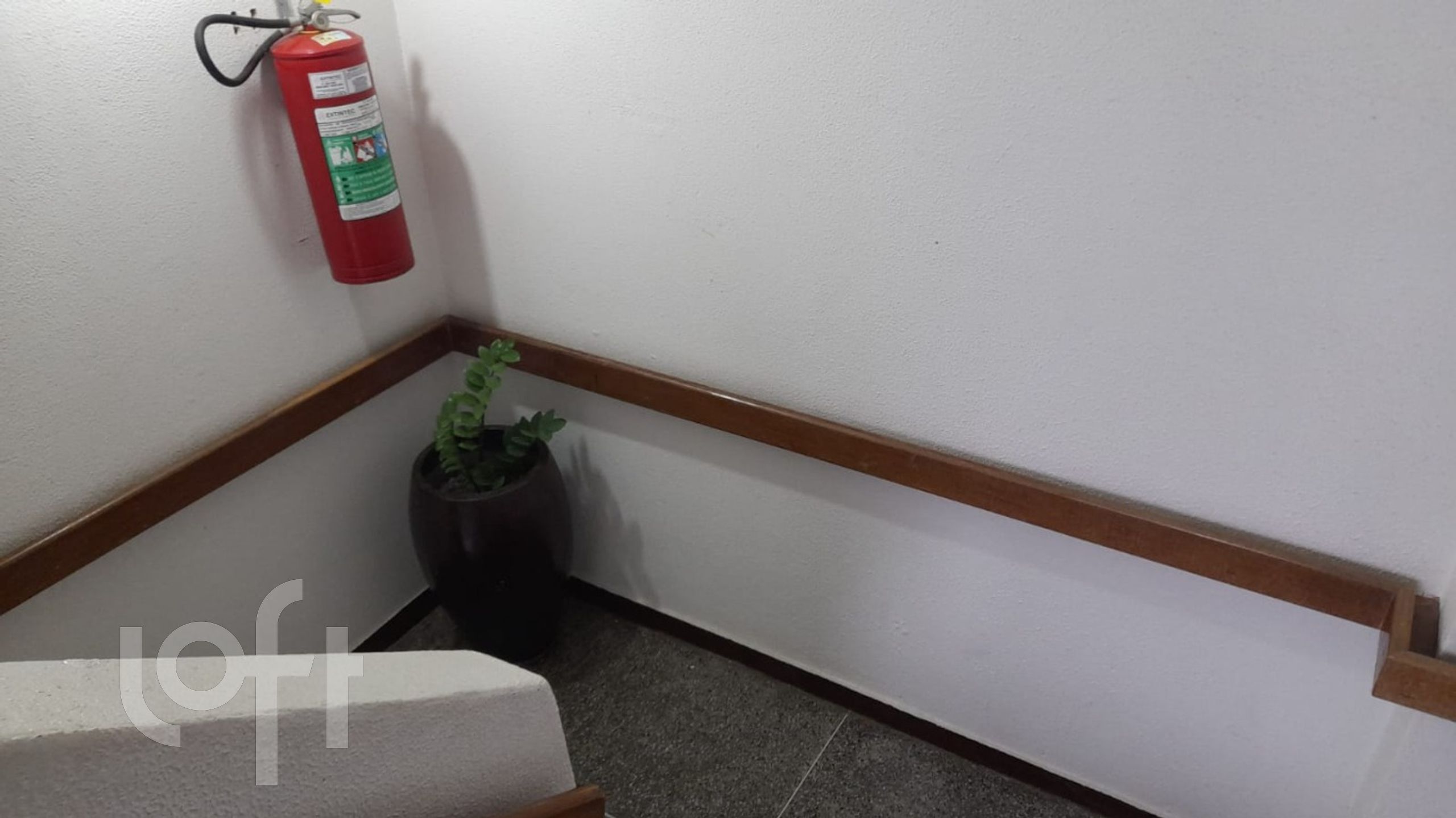 Imagem da propriedade 22