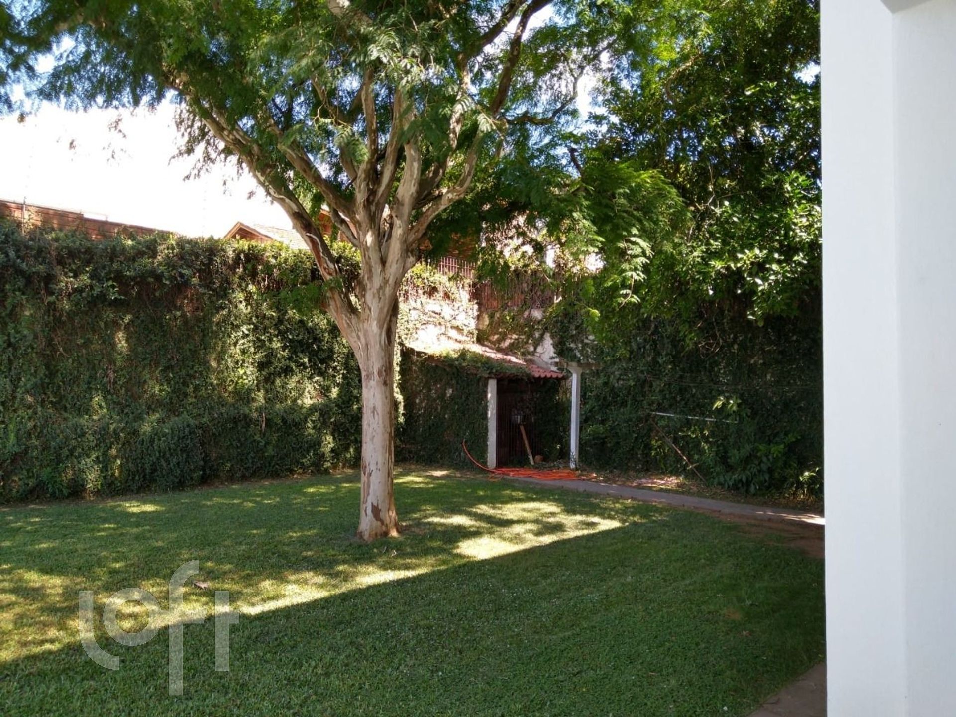 Imagem da propriedade 9