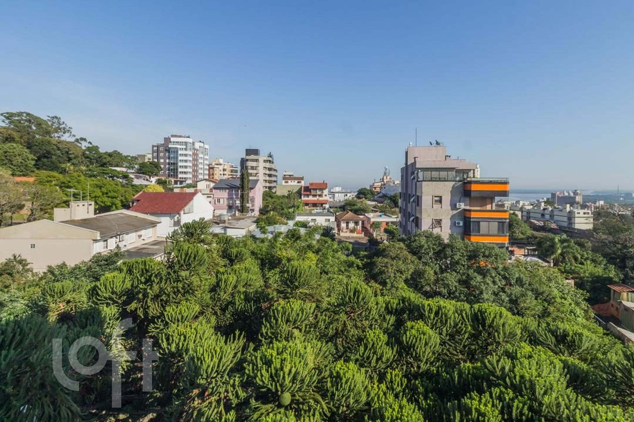 Imagem da propriedade 18