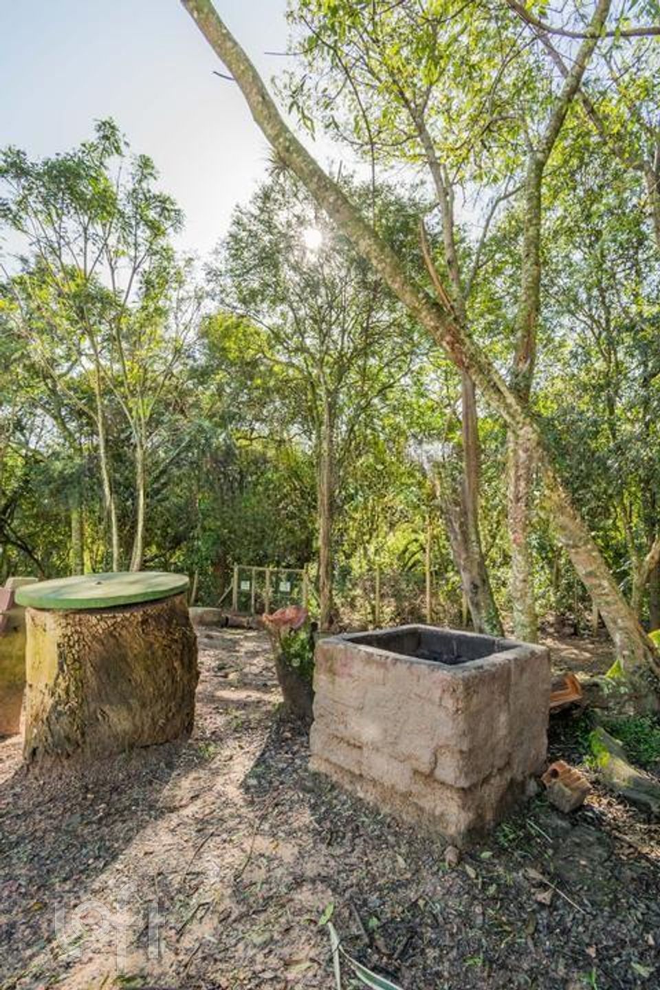 Imagem da propriedade 25